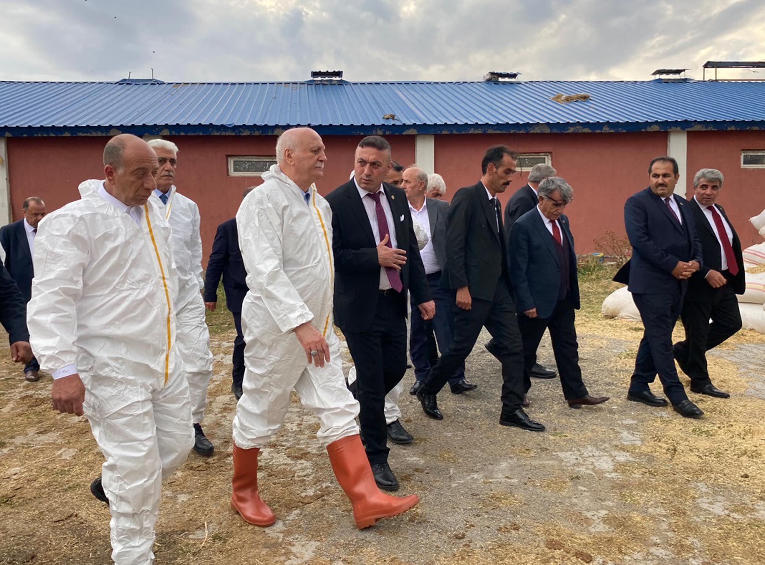 Tarım ve hayvancılık