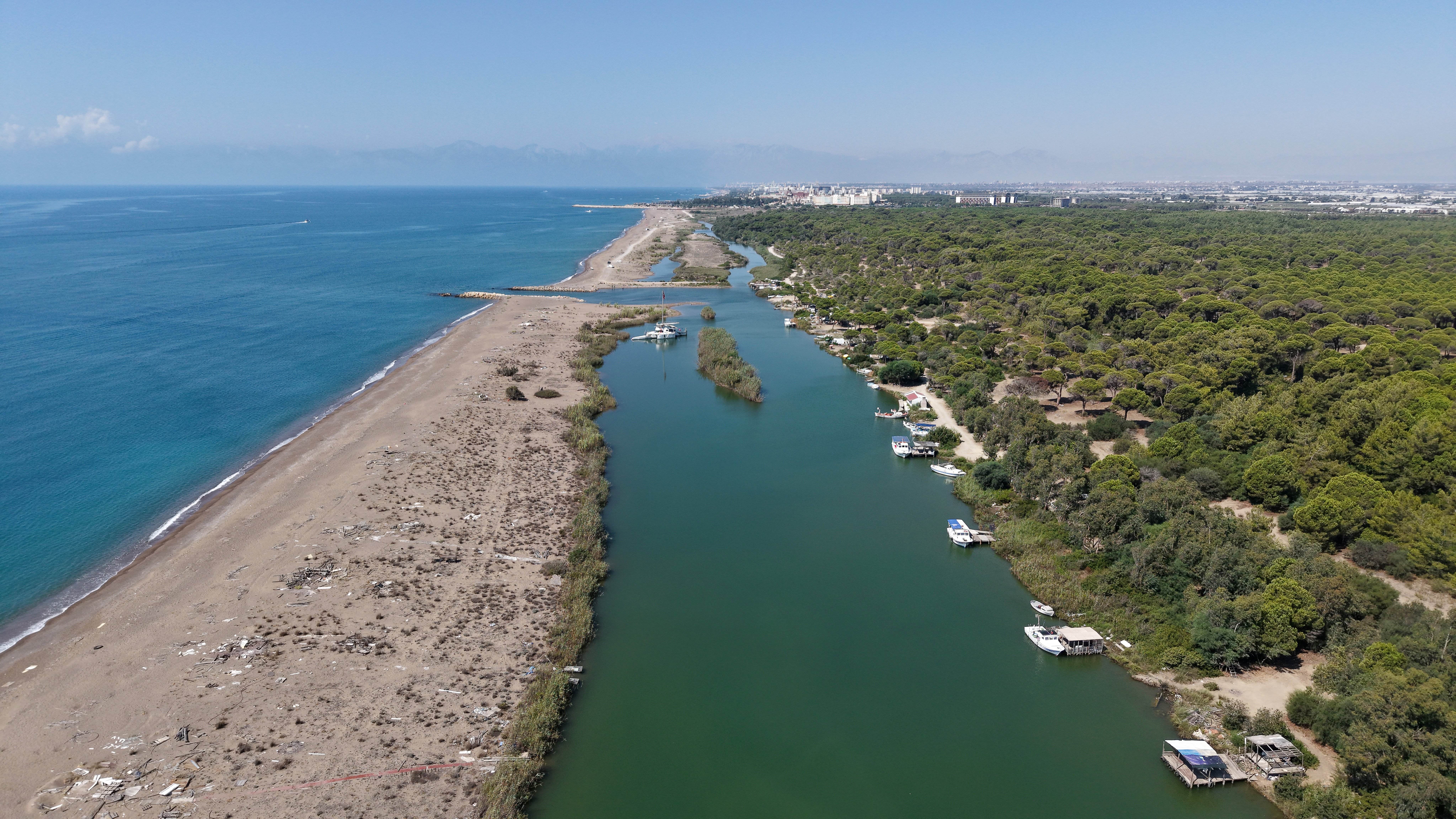 Kumköy orman yangını hasarı