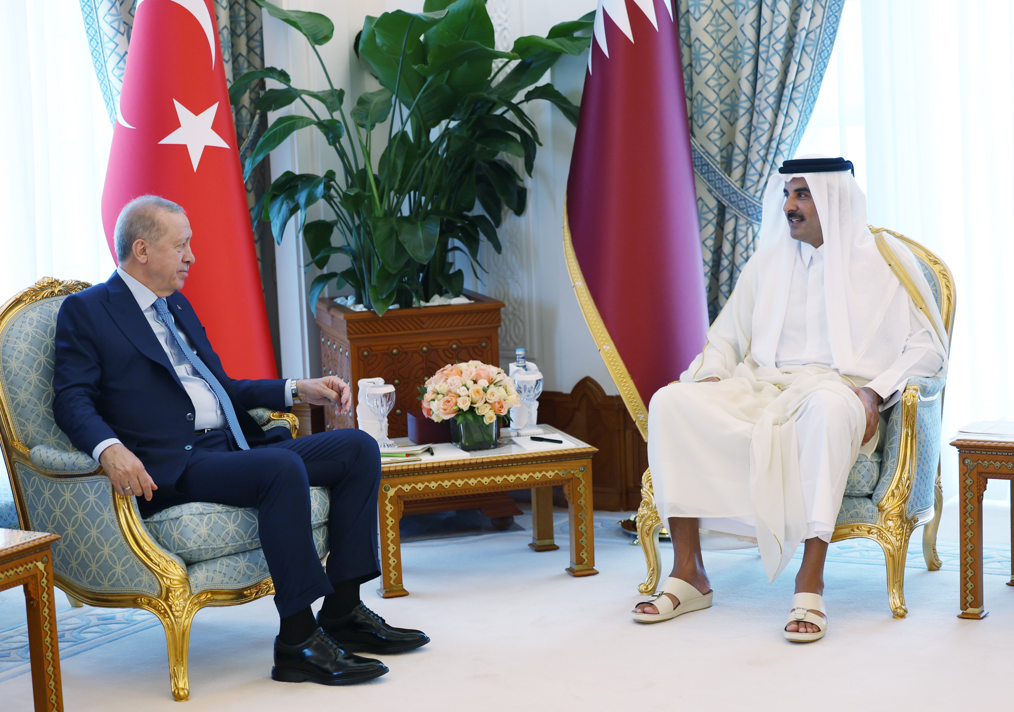 Erdoğan Al Sani görüşmesi