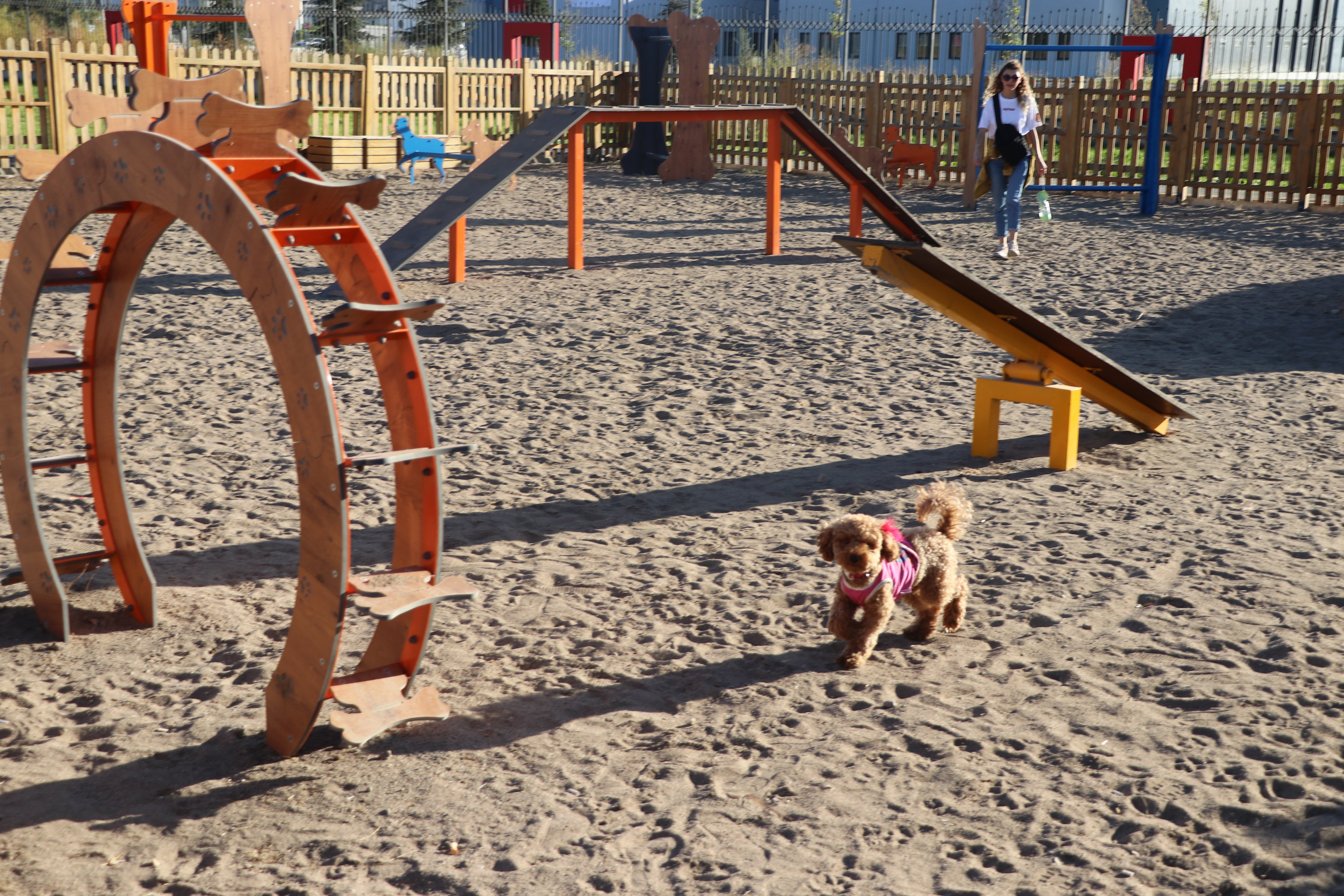 Köpek Eğitim Parkuru Parkurlar