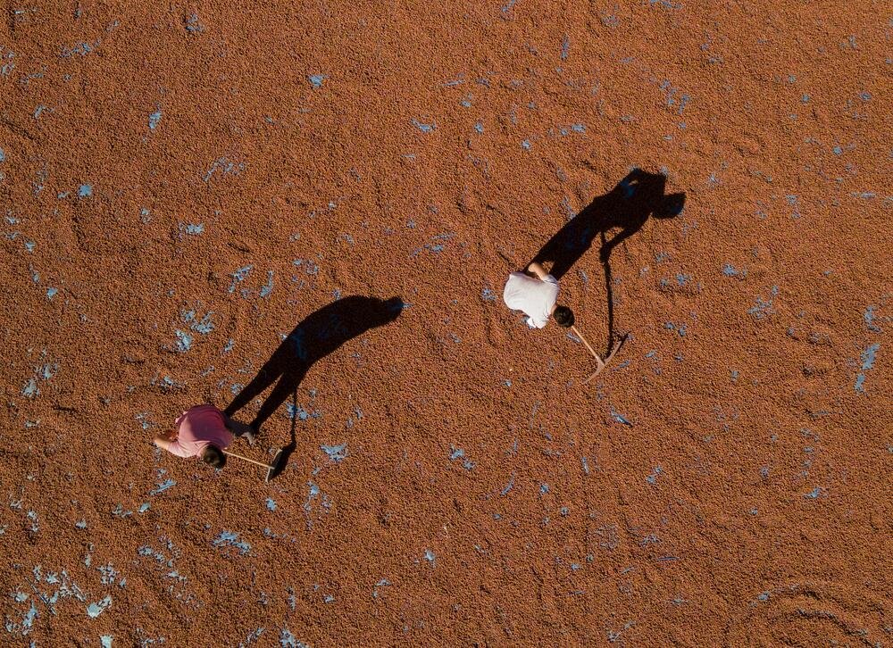 Tarım politikaları