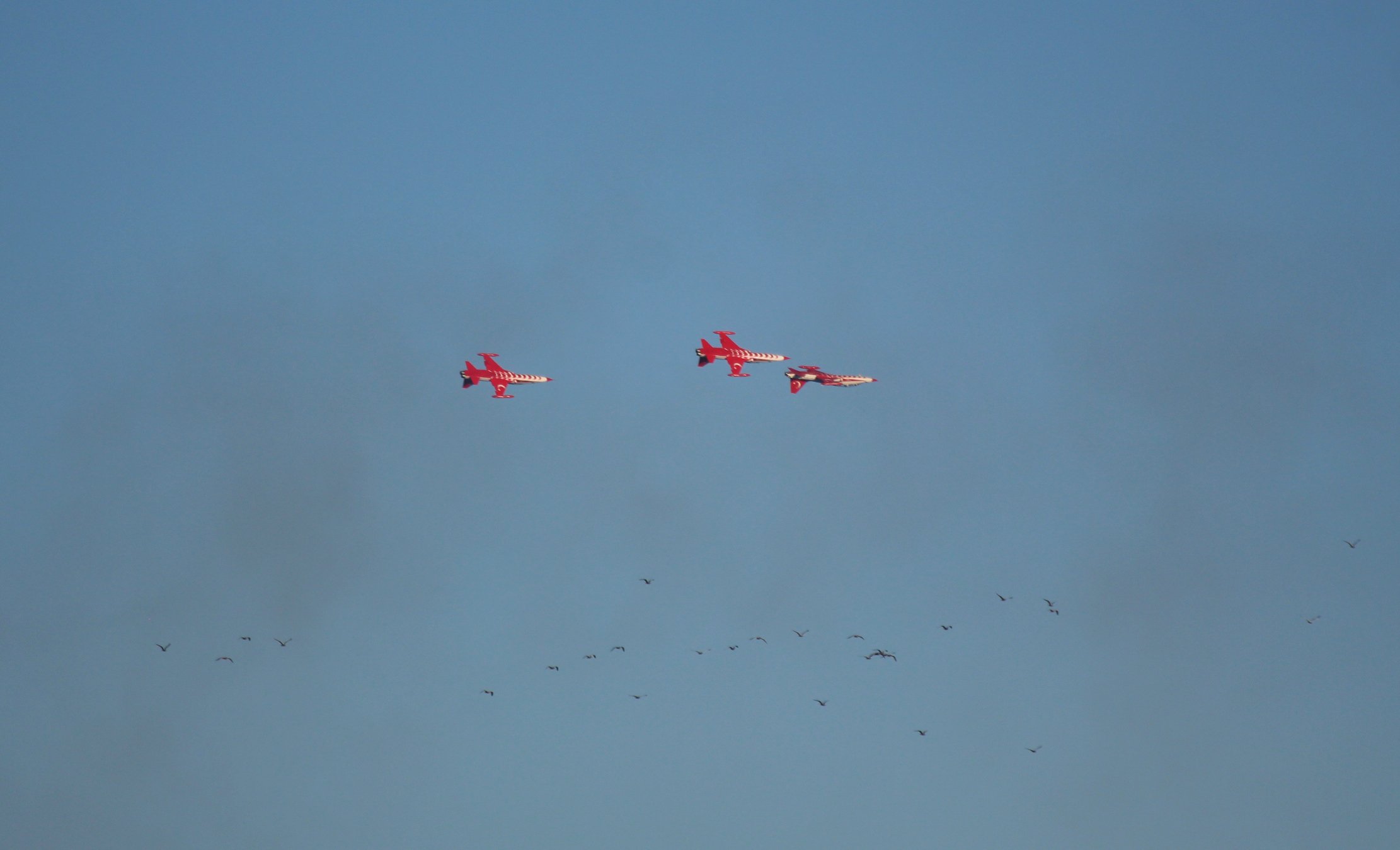 Türk Yıldızları akrobasi