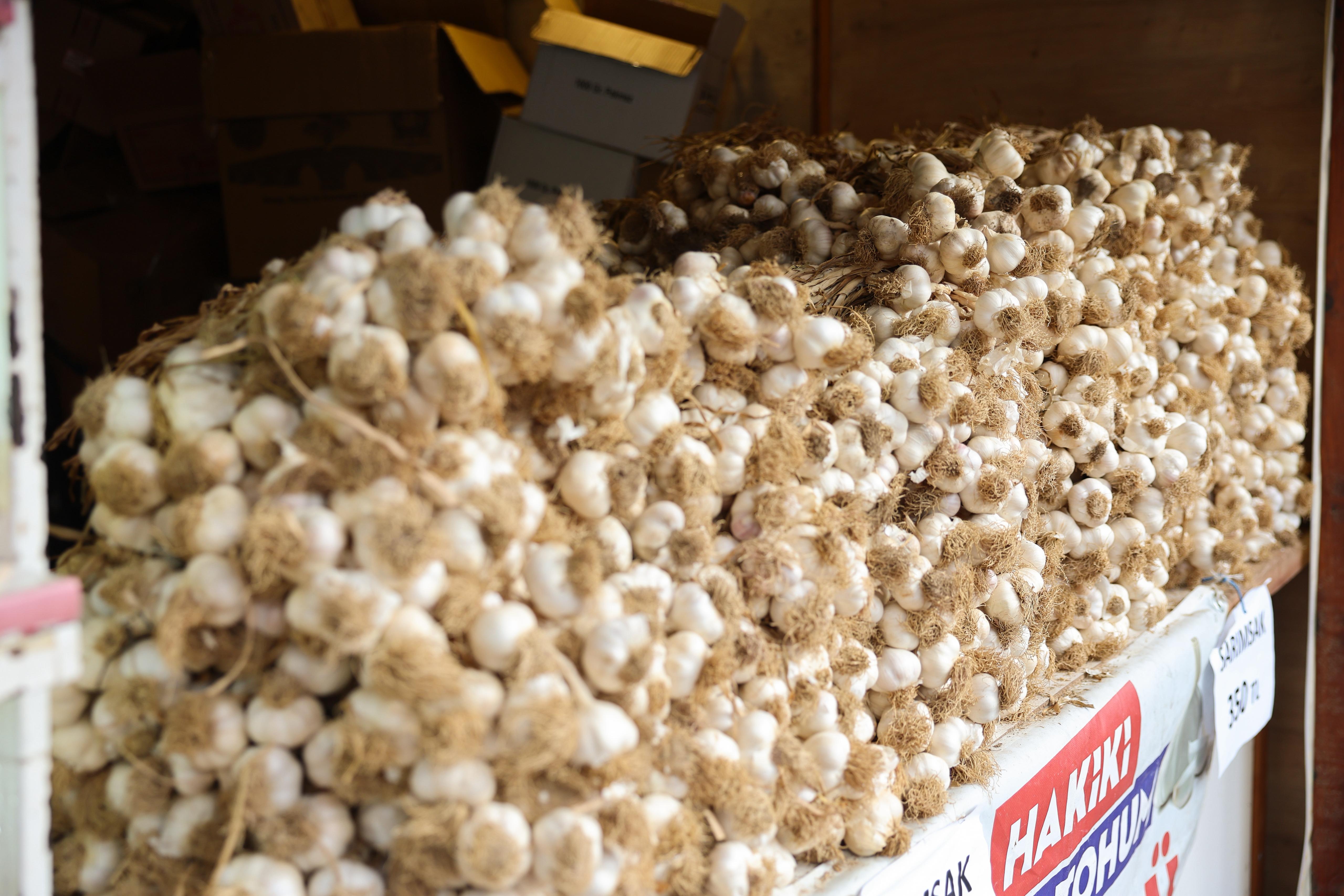 Sultangazi Siyez Festivali