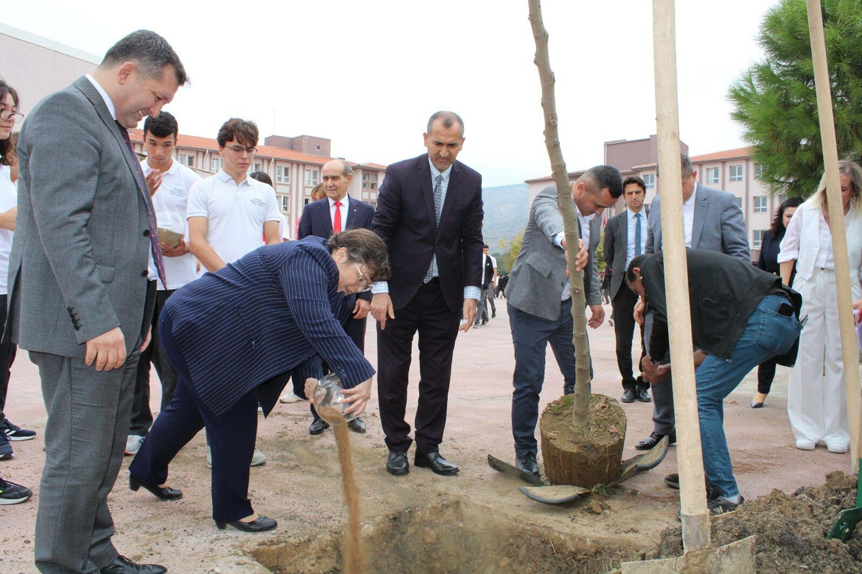 Cumhuriyet Çınarı Dikimi