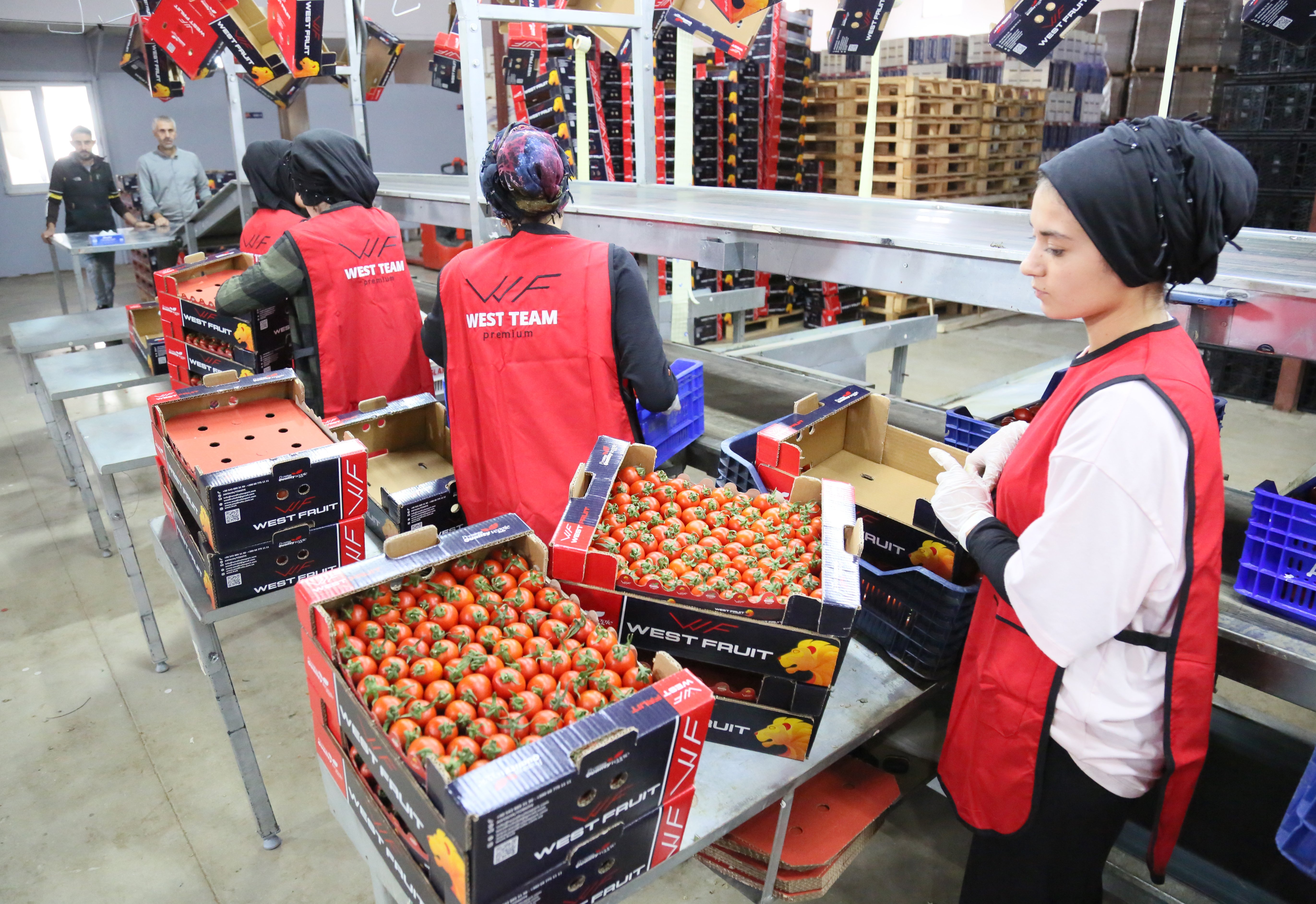 Antalya tarım ürünleri