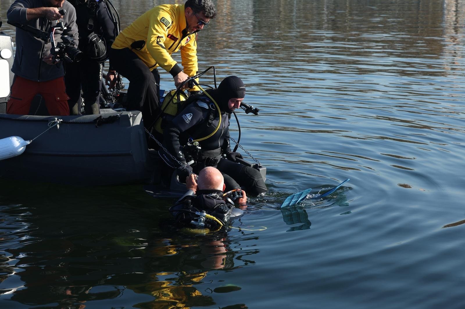 İzmit Körfezi deniz yaşamı