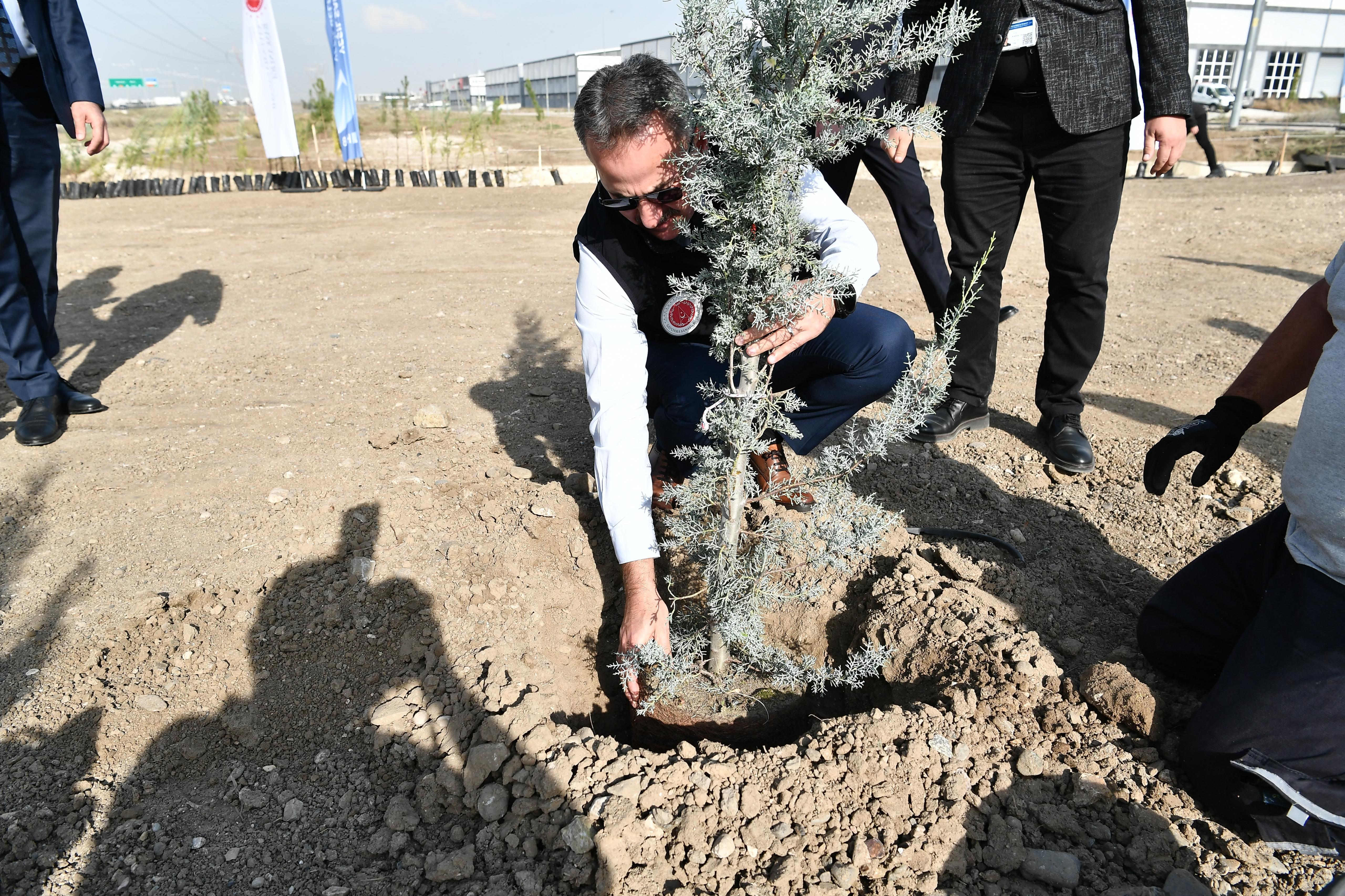 Savunma Sanayii Başkanlığı ağaç dikim etkinliği