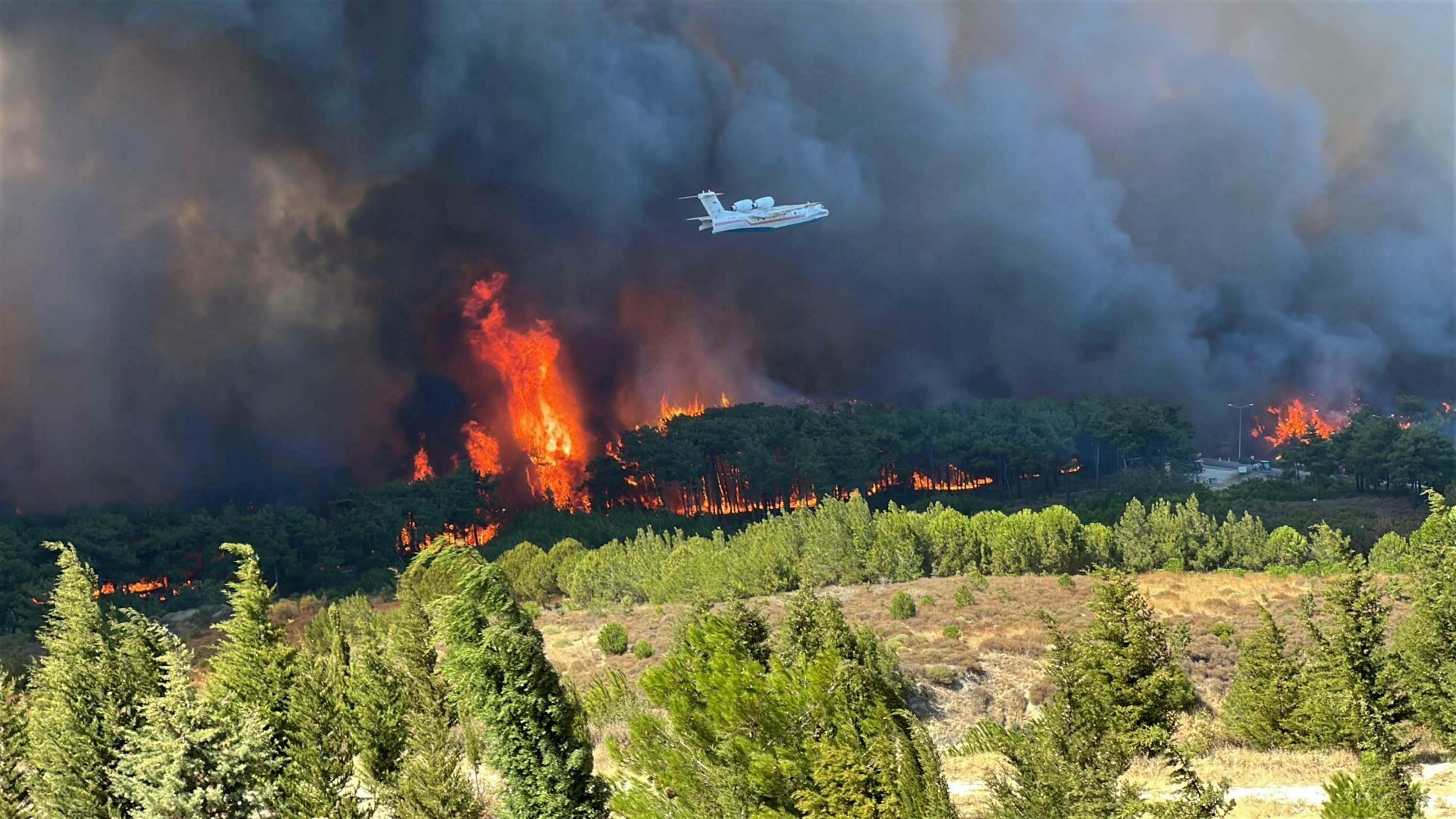 Çanakkale Orman Bölge Müdürü Enver Demirci