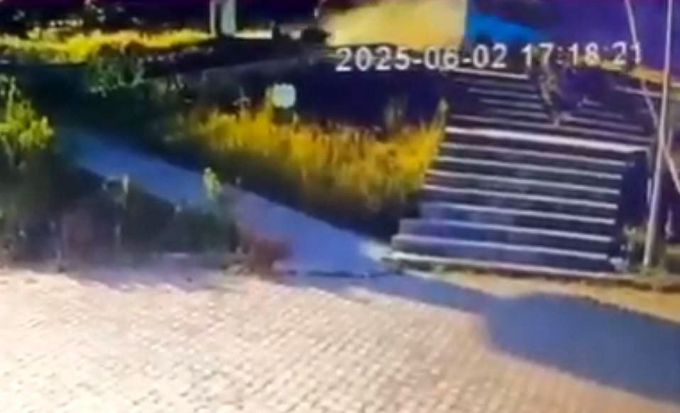 Trabzon Gazeteciler Cemiyeti basın toplantısı