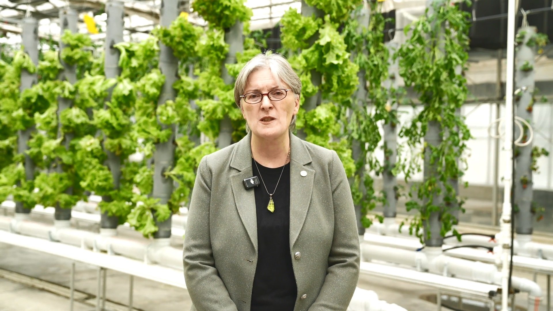 TENMAK Teknoloji Geliştirme