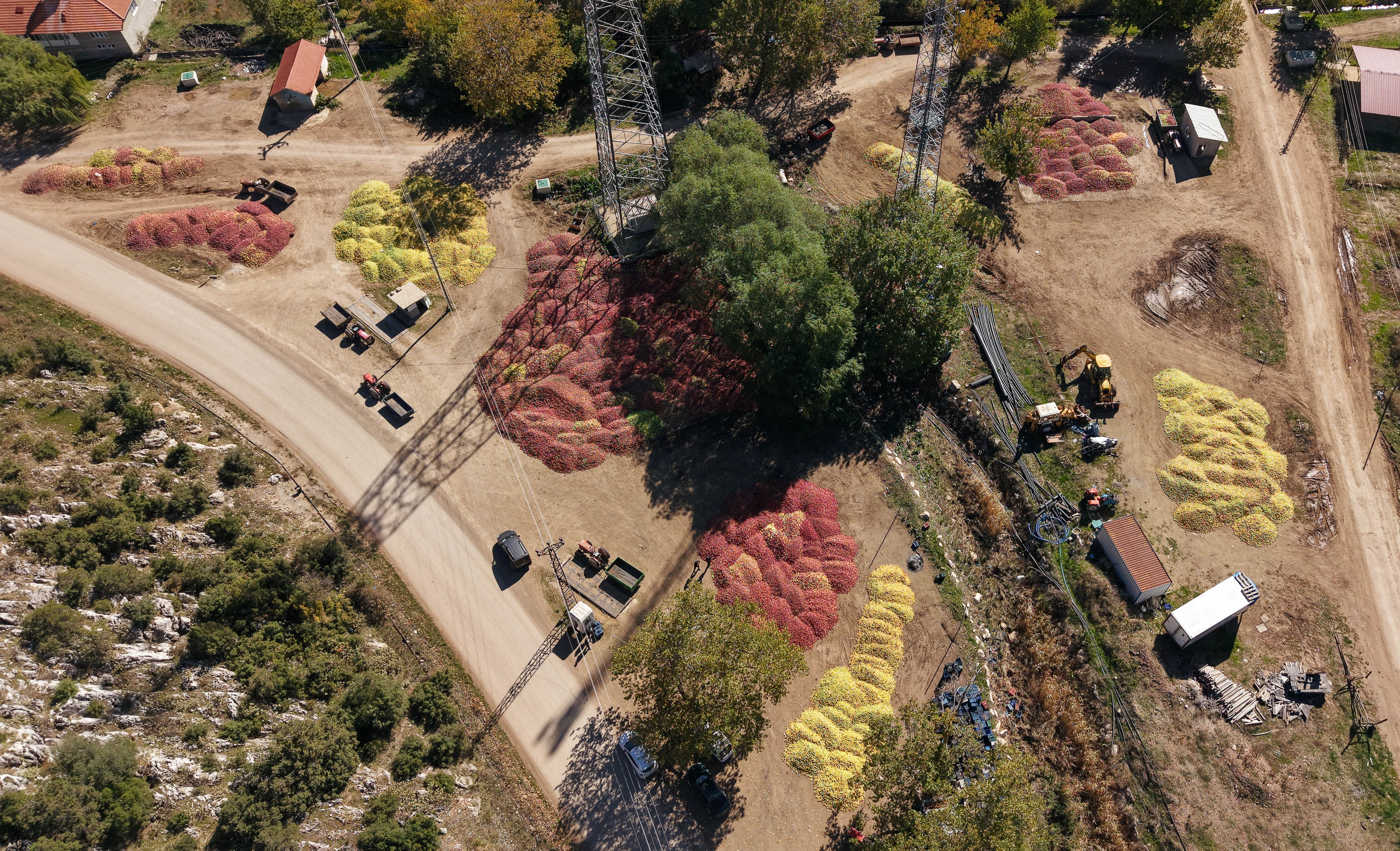 Eğirdir köy kooperatifleri