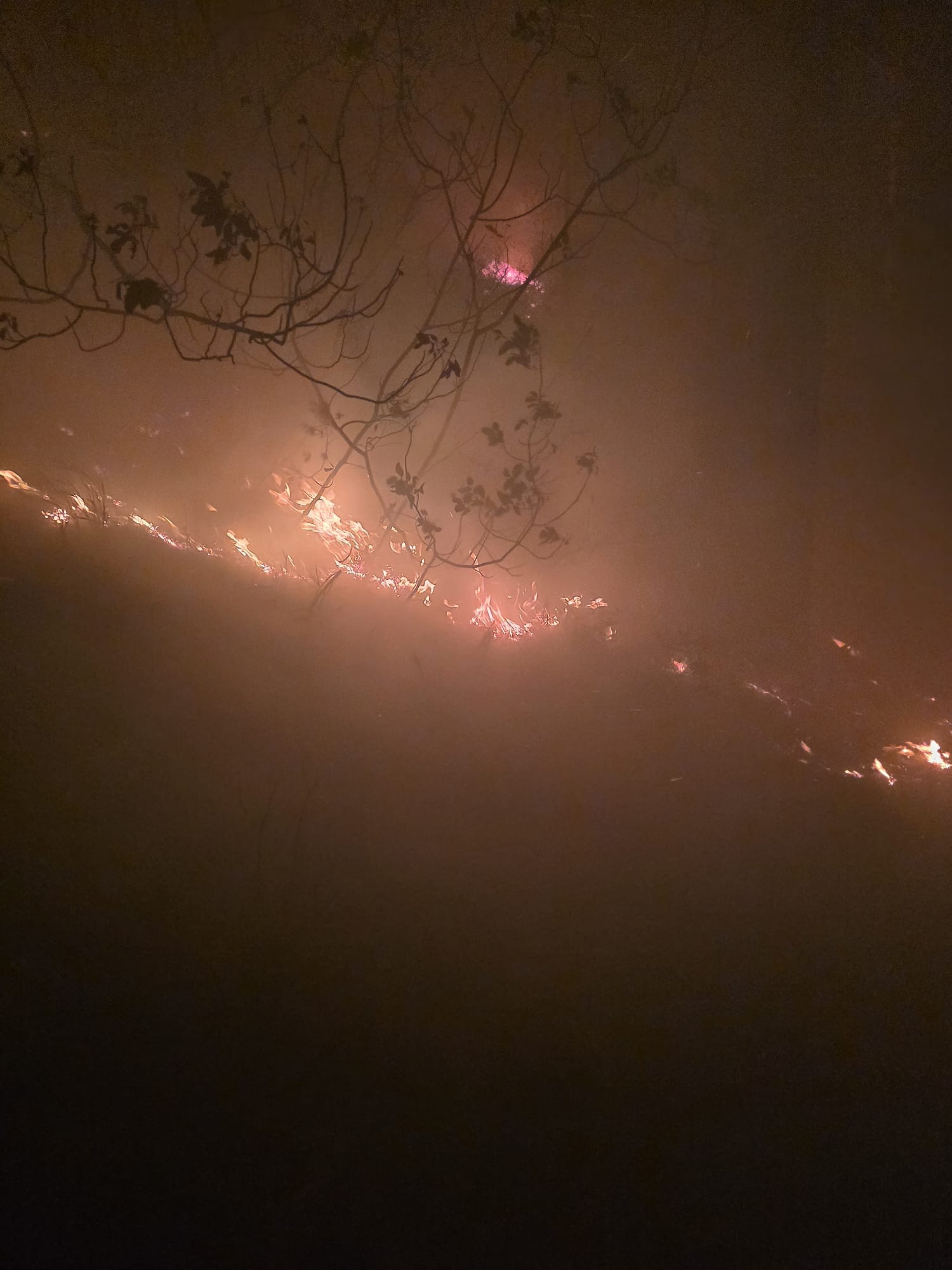 Hatay yangın müdahalesi