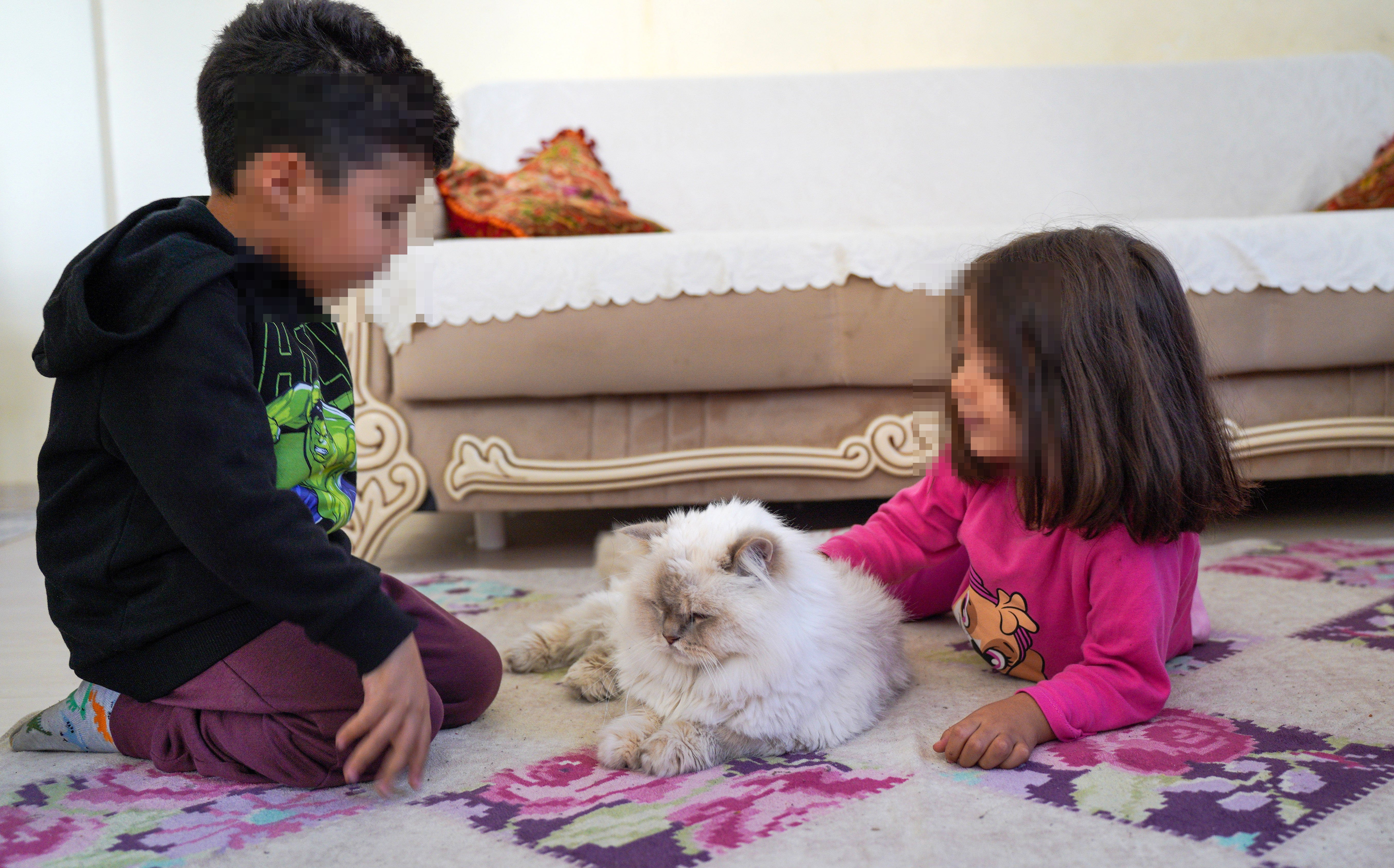 Aile ve Sosyal Hizmetler desteği