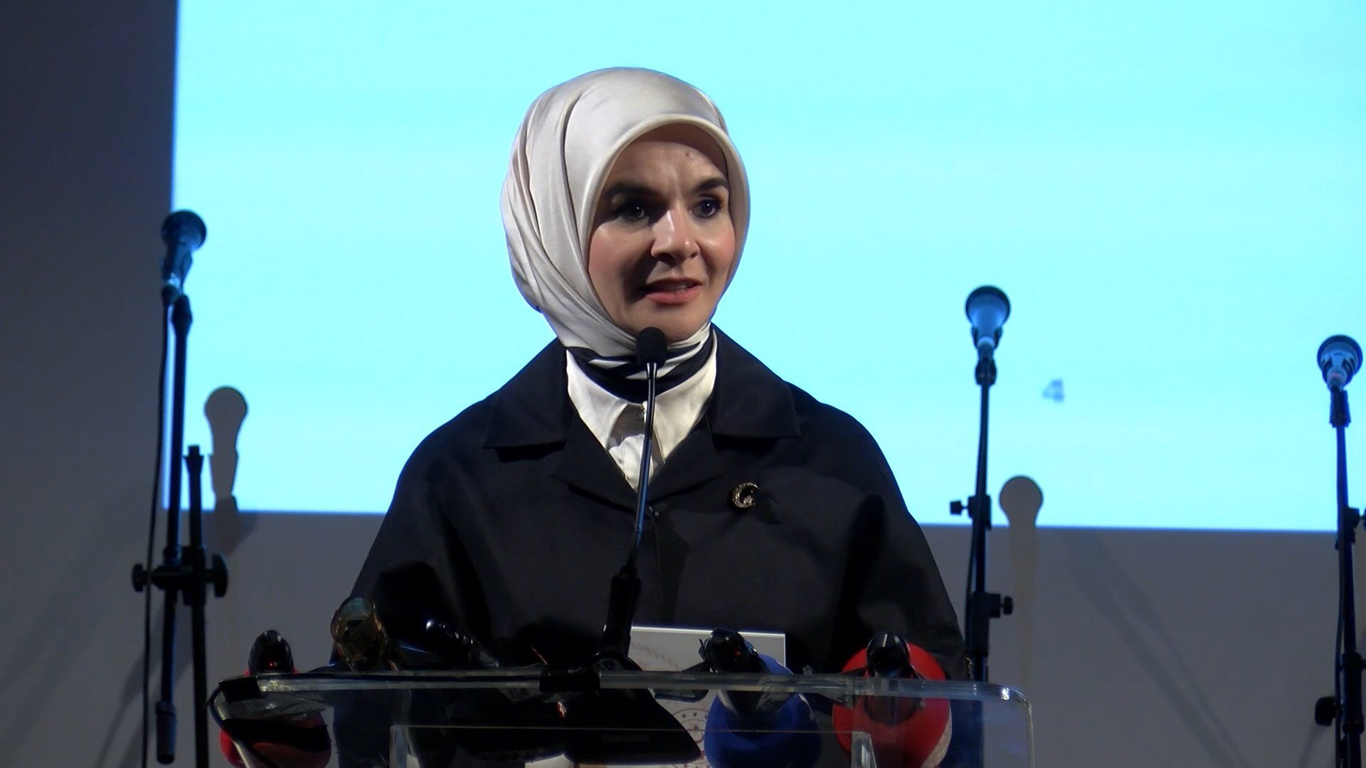 Lübnan Büyükelçiliği Resepsiyon