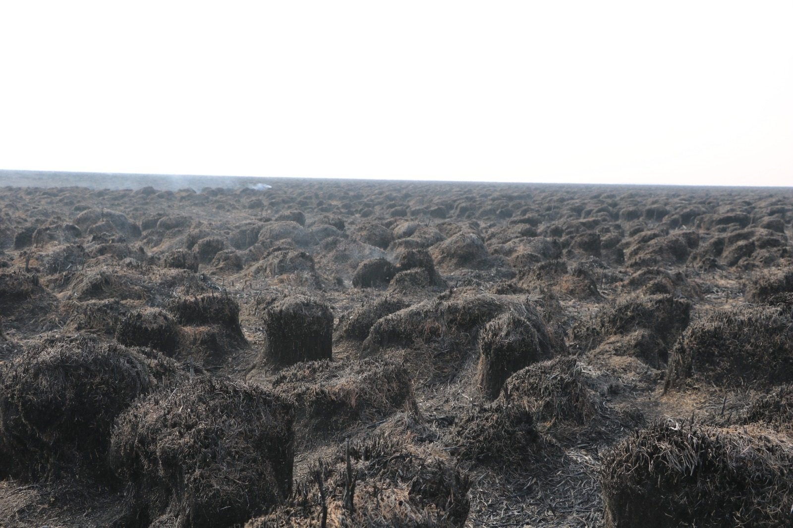 Yüksekova Nehil Sazlığı yangın müdahalesi