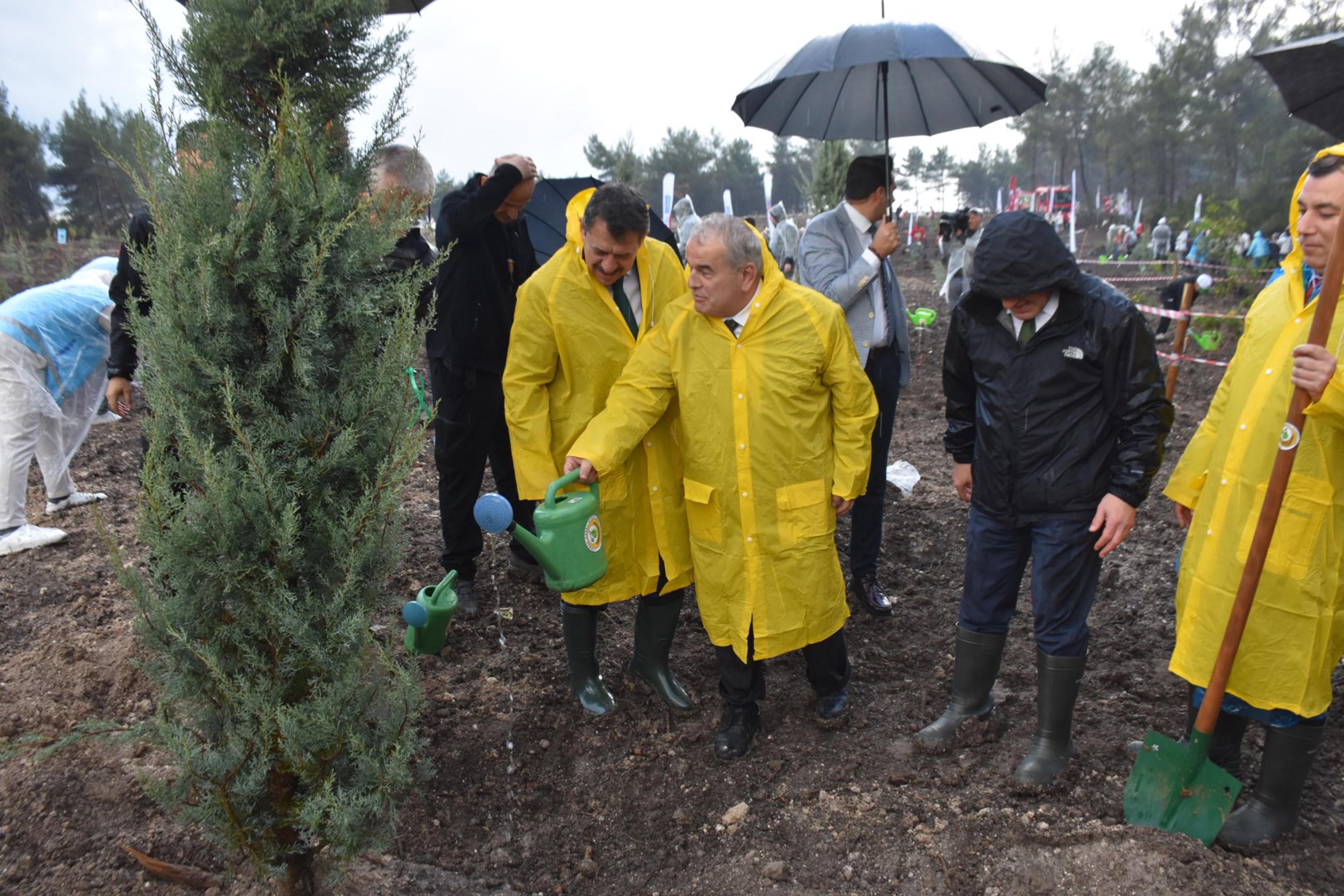 Mahmut Yılmaz fidan dikimi