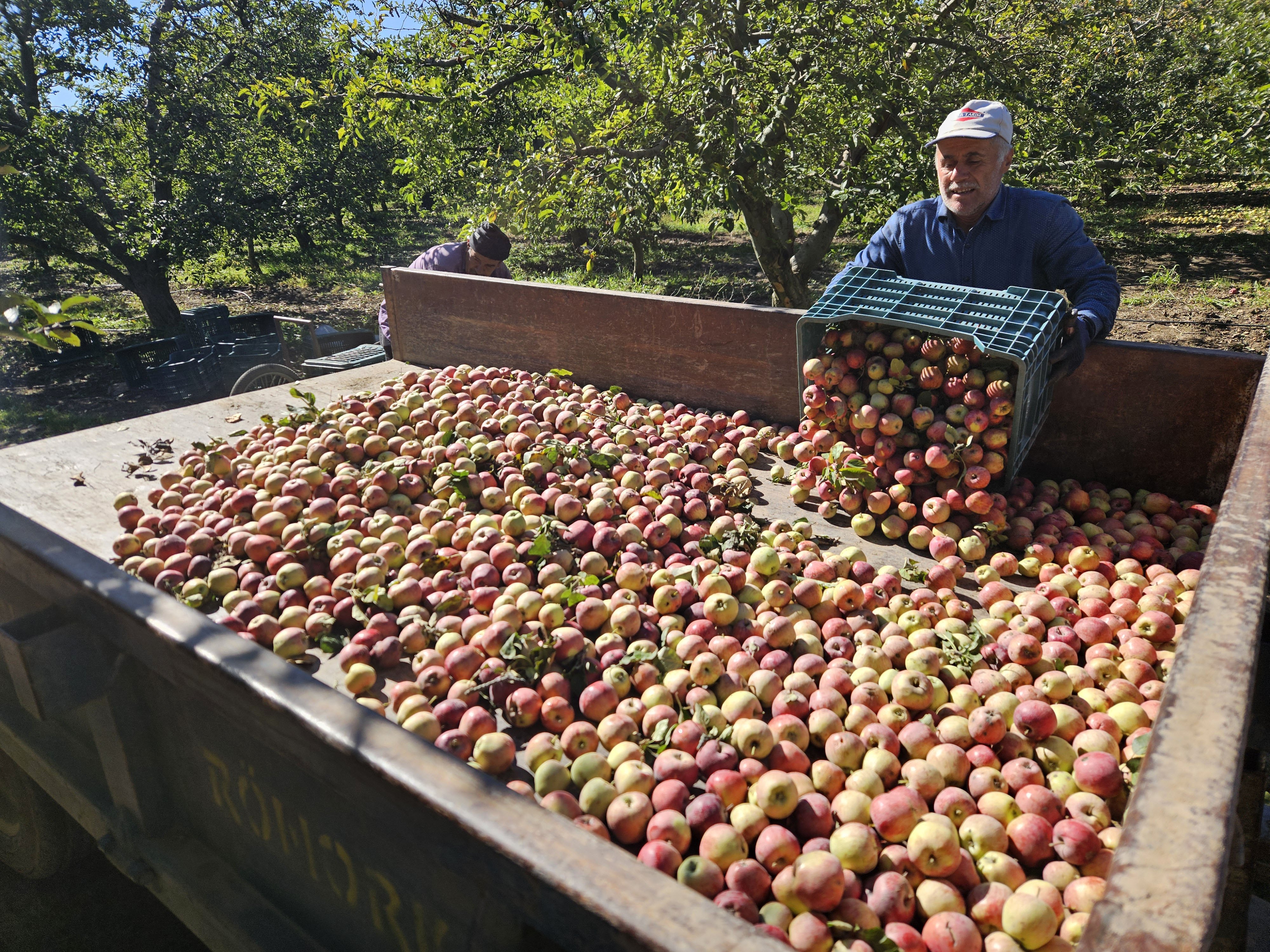 Eğirdir elma kuraklık
