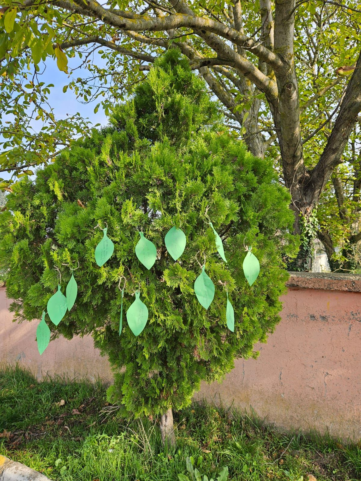 Öğrenciler Fidan Dikiminde