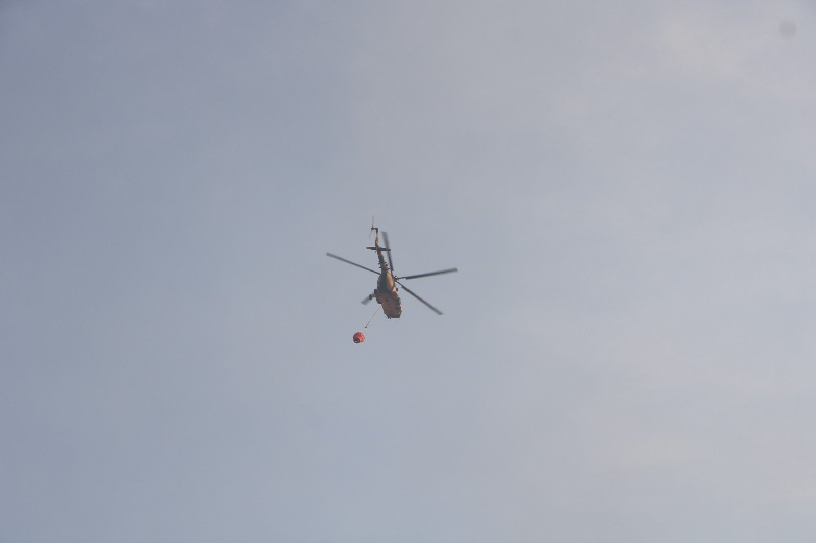 Nehil Sazlığı yangın sonrası