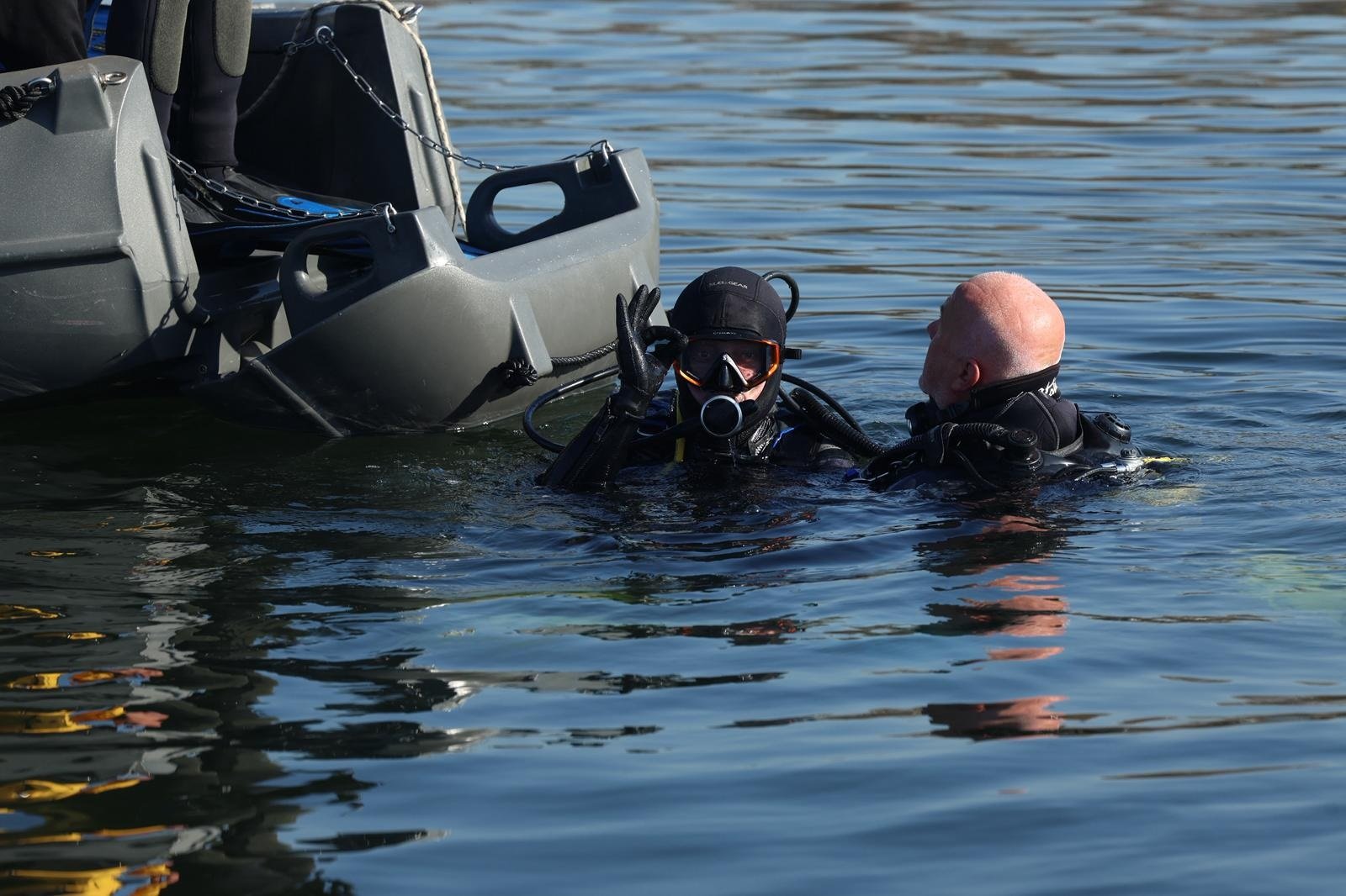 İzmit Körfezi ekosistem