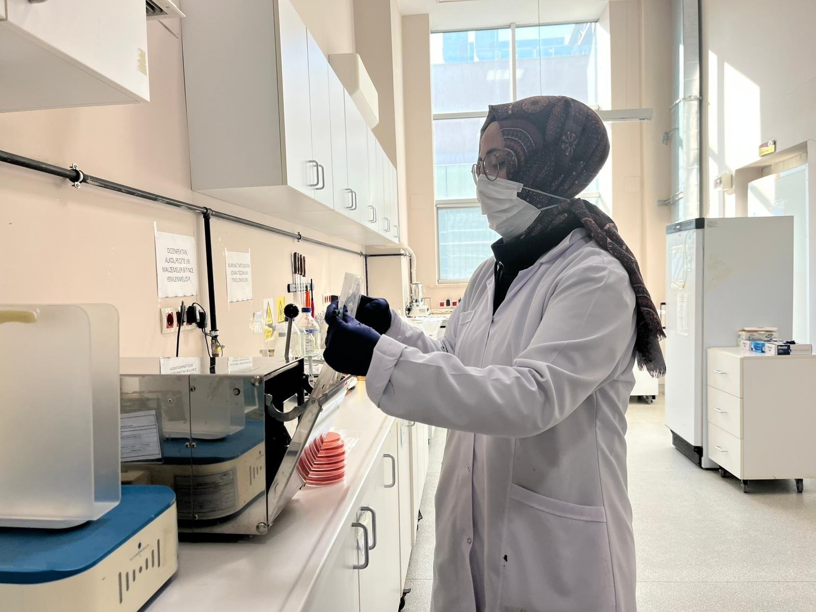 Laboratuvar Çalışmaları