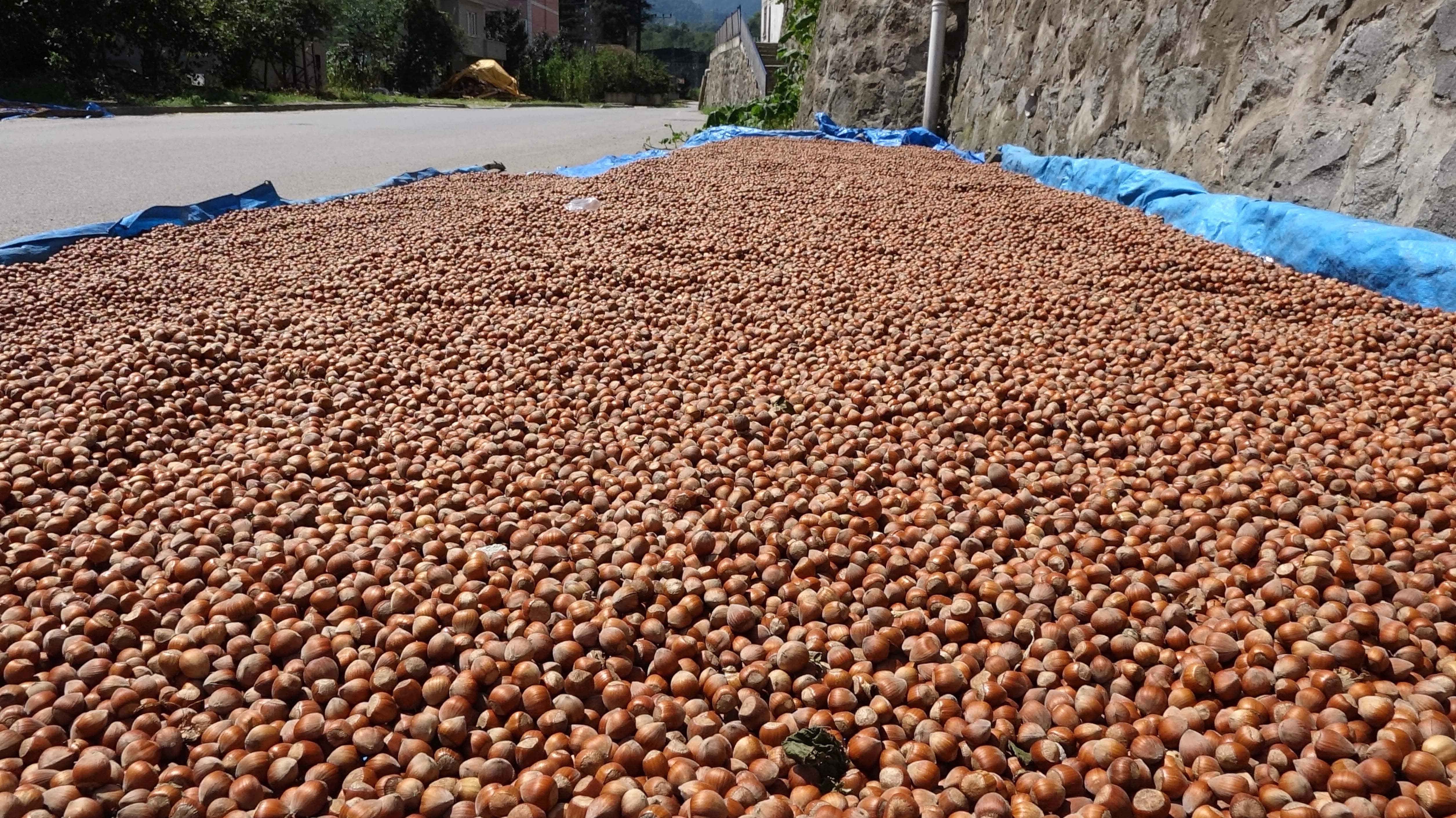 Sebahattin Arslantürk