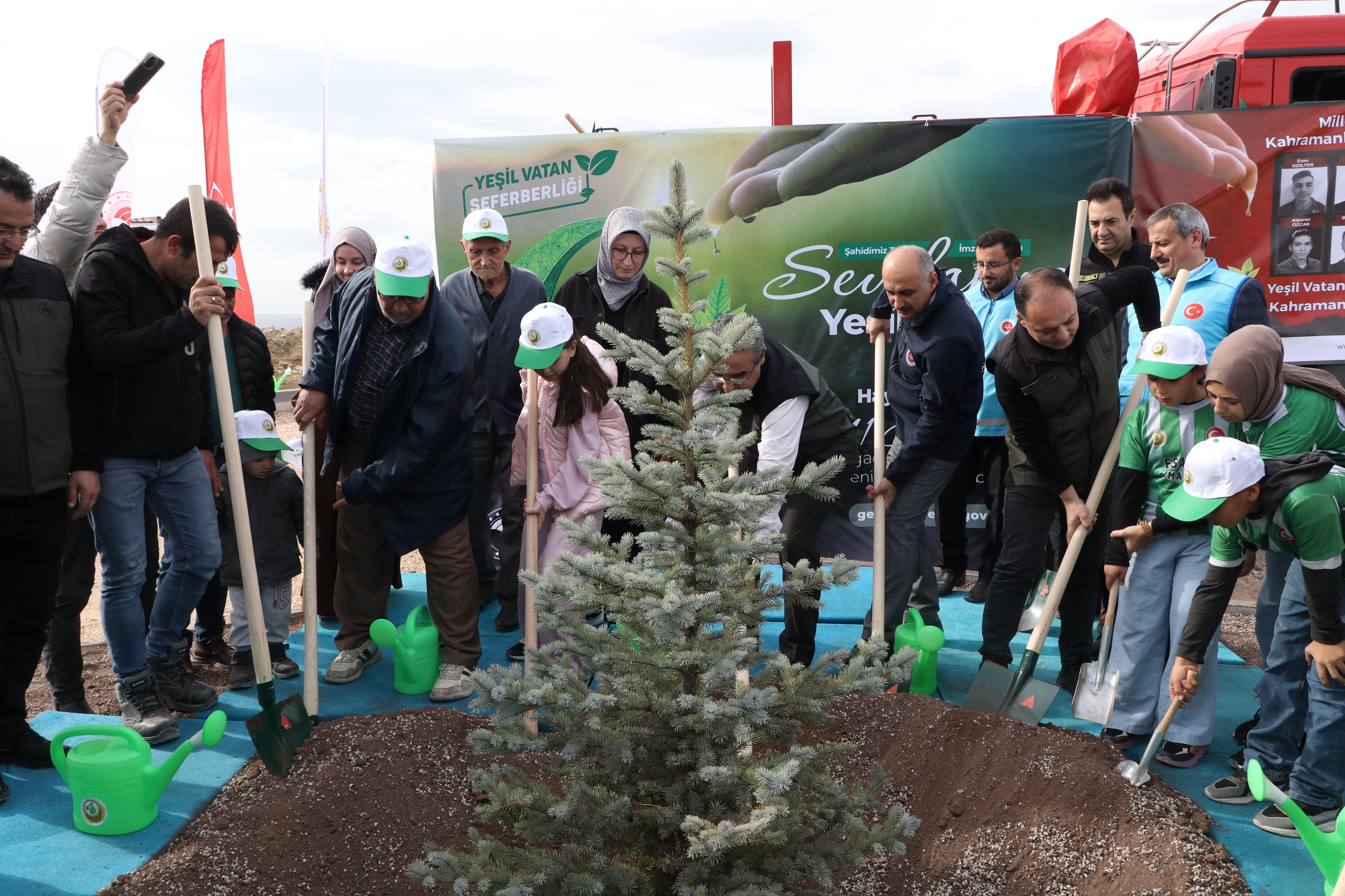 Eyüp Dereli hatıra ormanı fidan dikimi