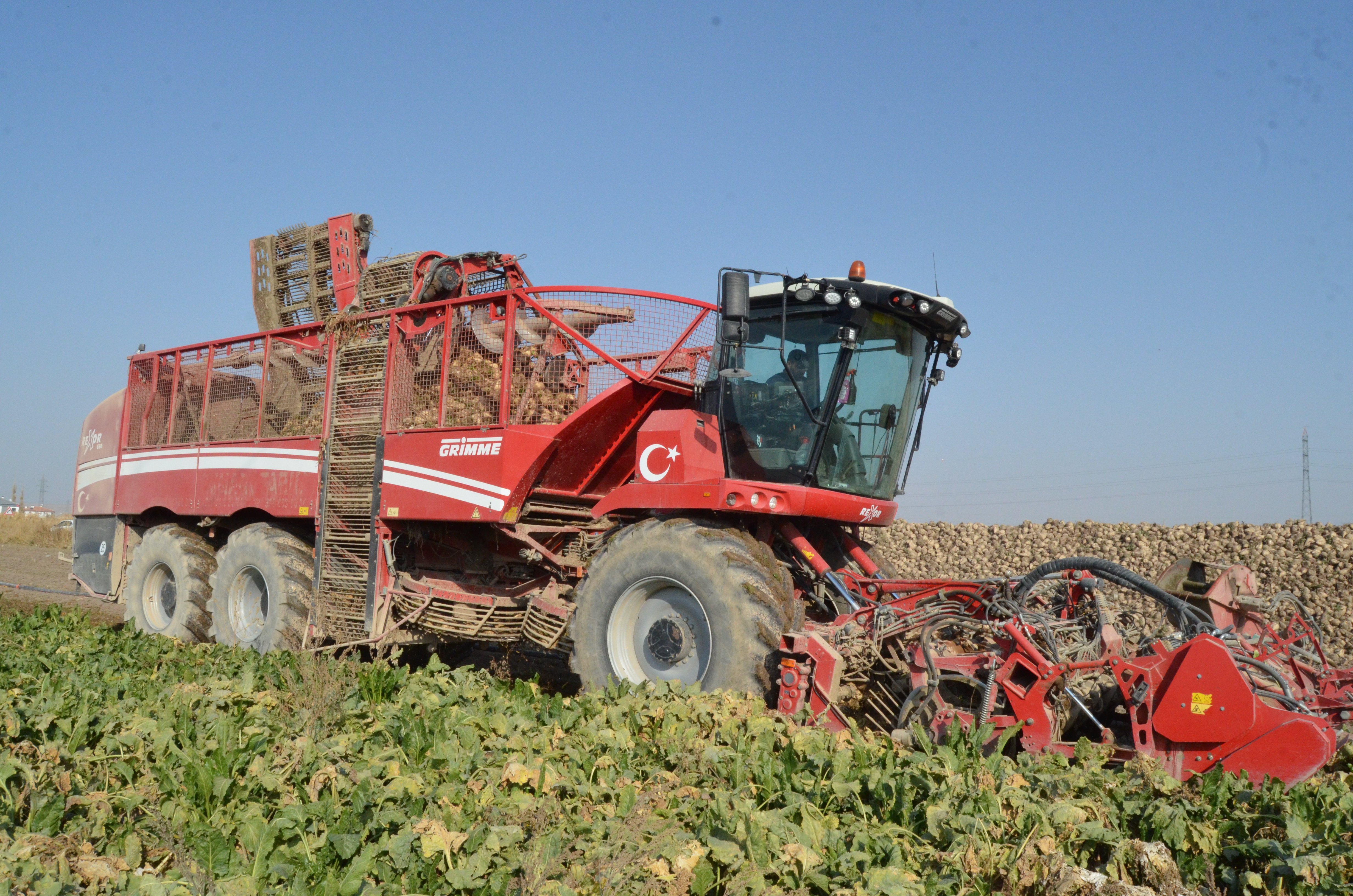 Pancar hasadı çalışmaları