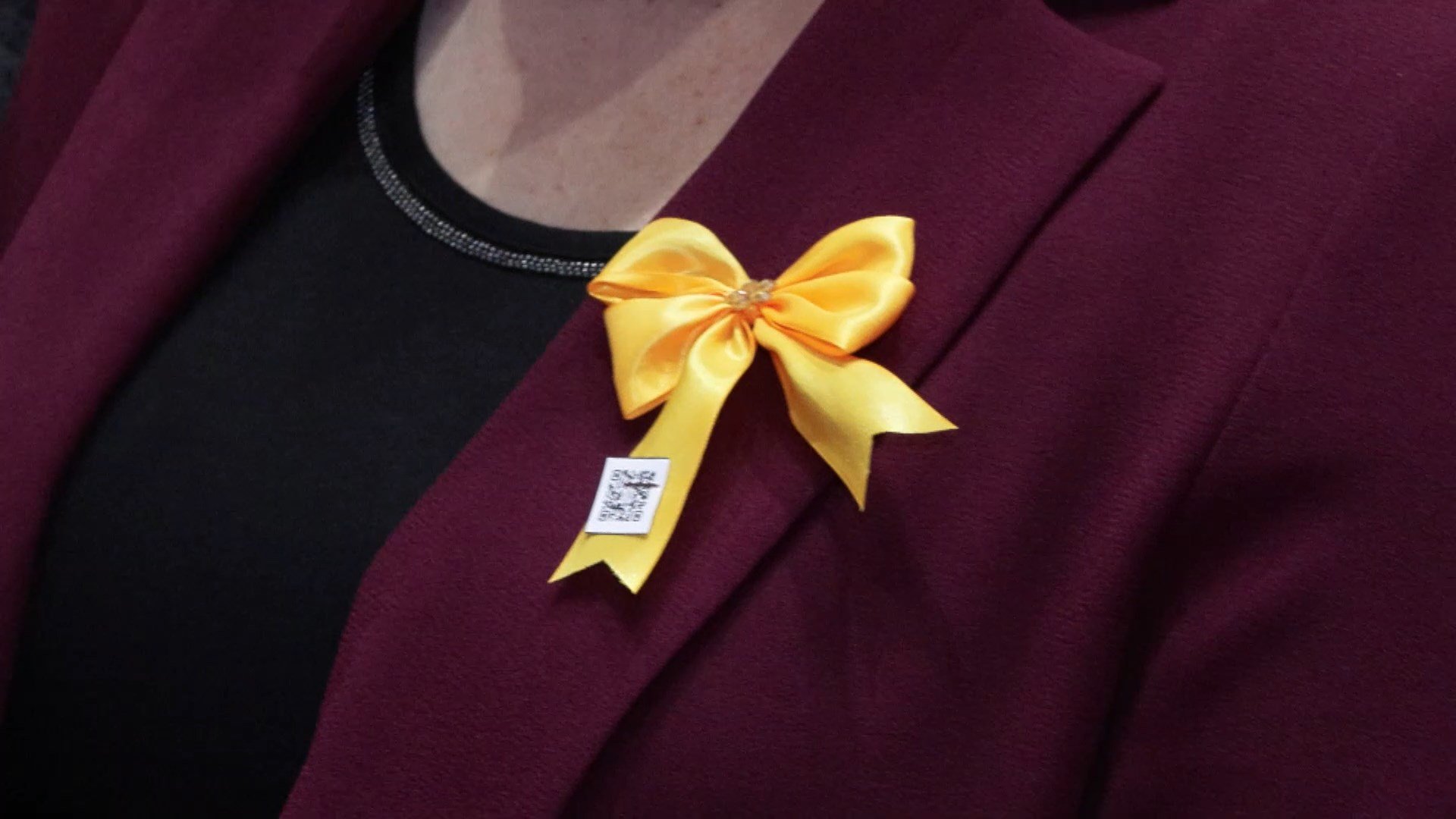 Kadına Şiddet Programı Katılımcıları