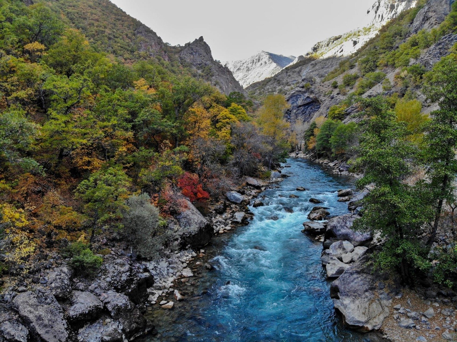 Munzur Vadisi yaban hayatı