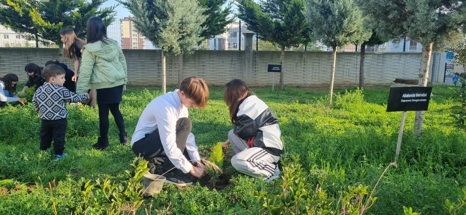 Atatürk Mesajlı Fidanlar