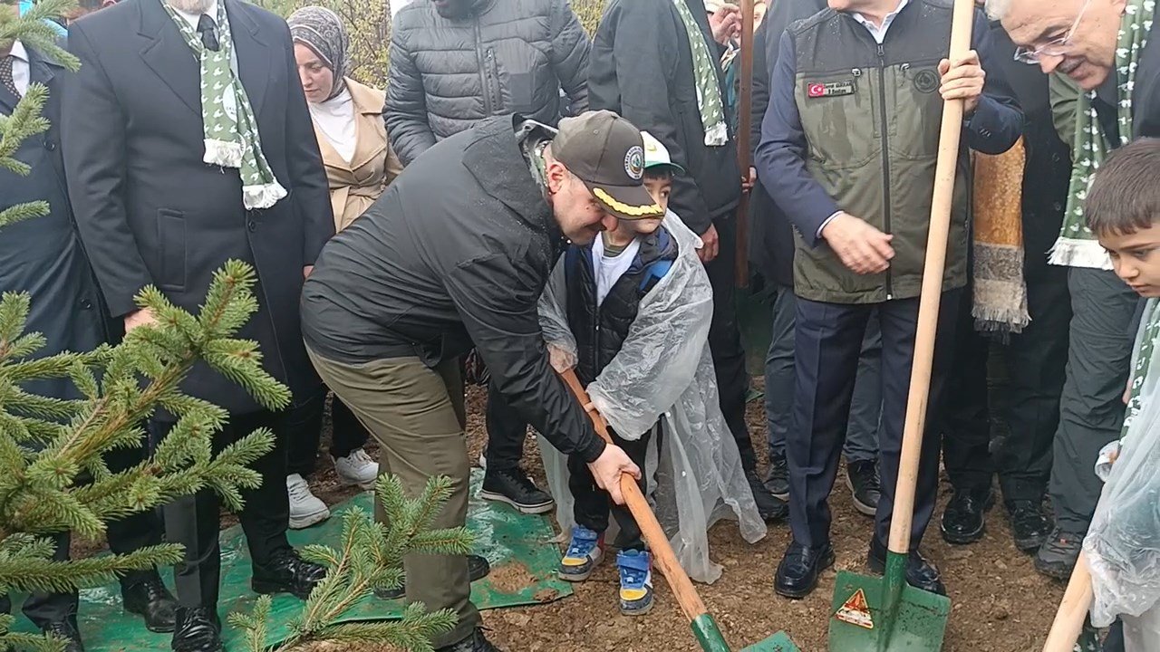 Mustafa Varank Bursa Orman Yangını