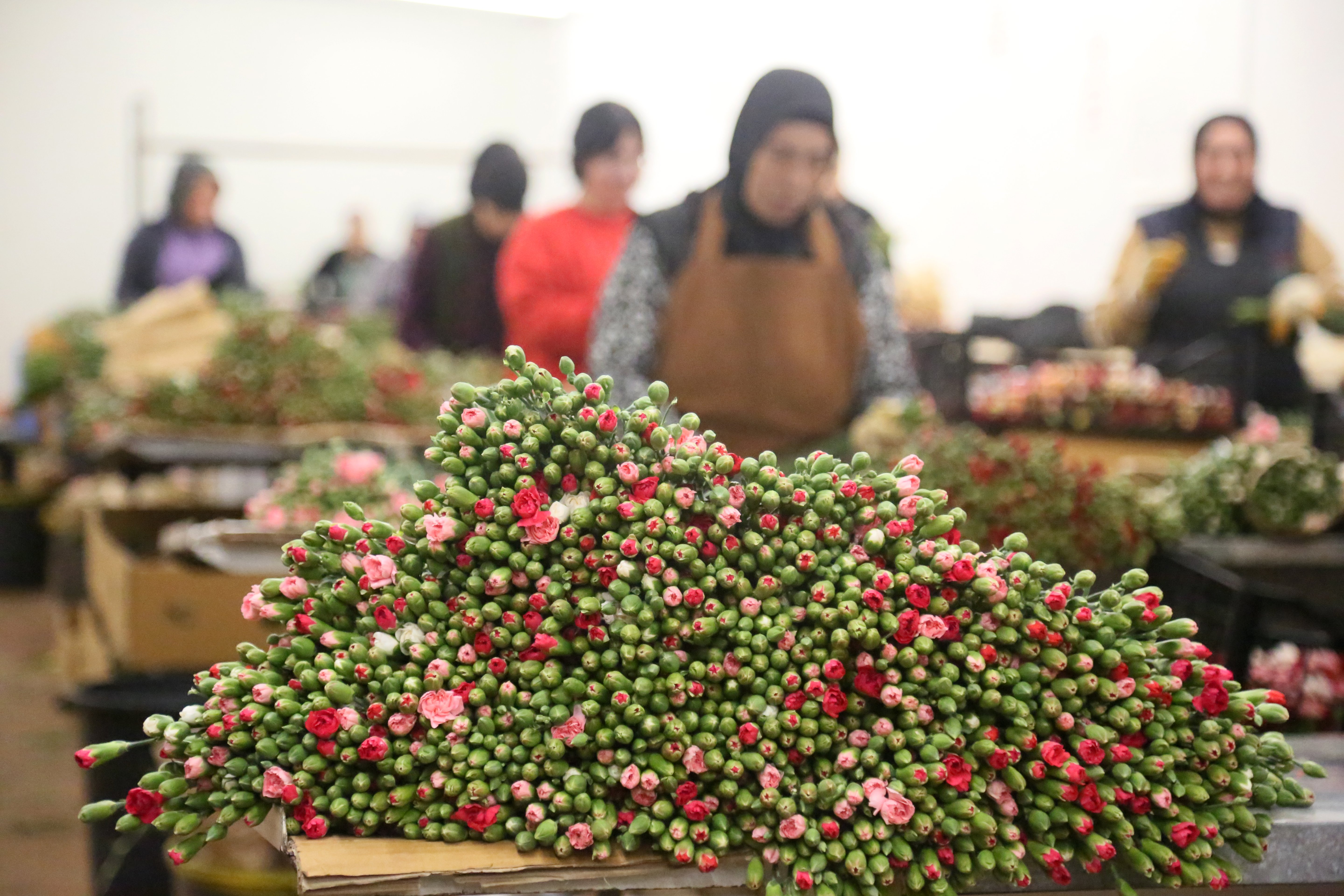 Kesme çiçek ihracatı
