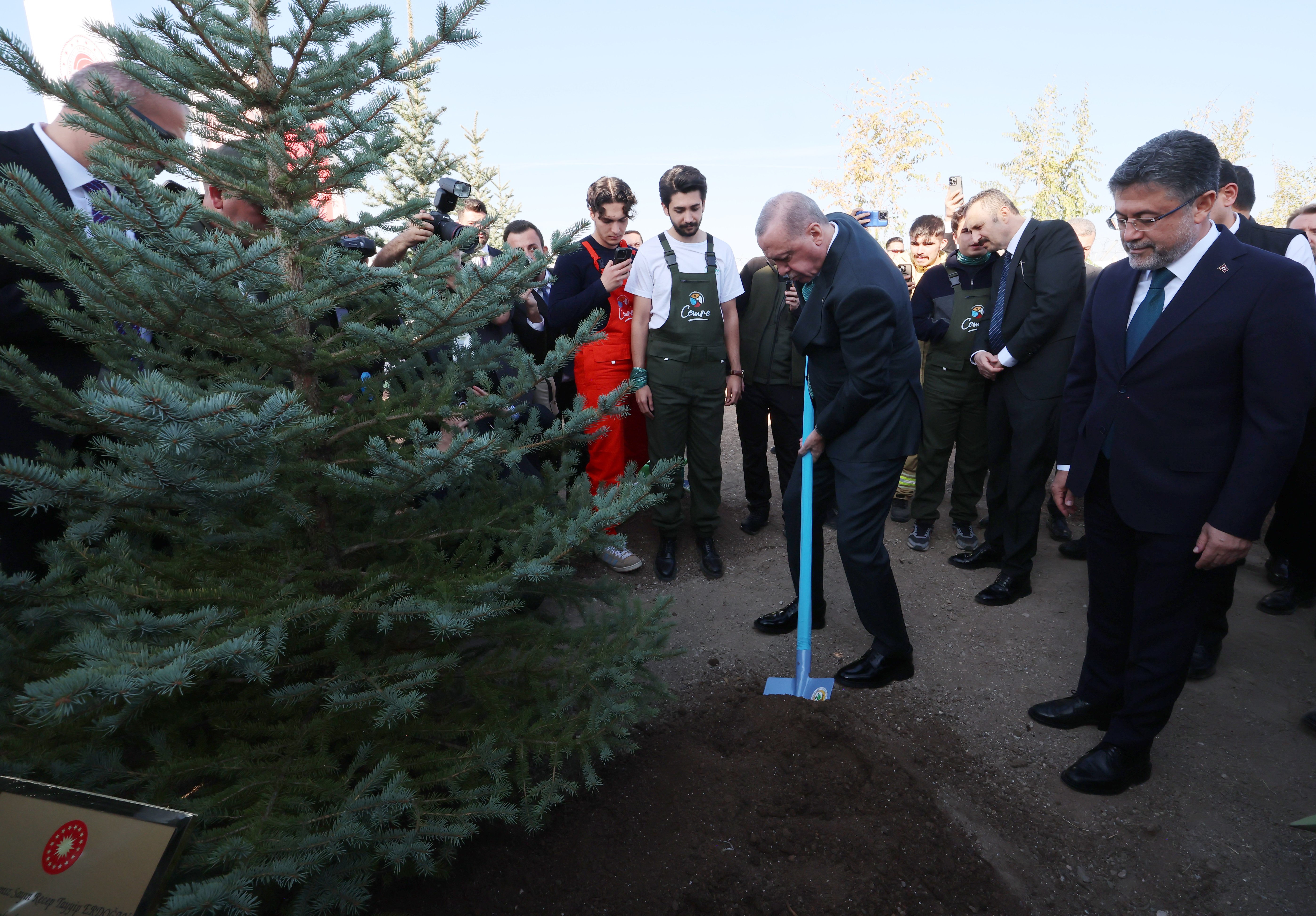 Cumhurbaşkanı Erdoğan fidan dikimi