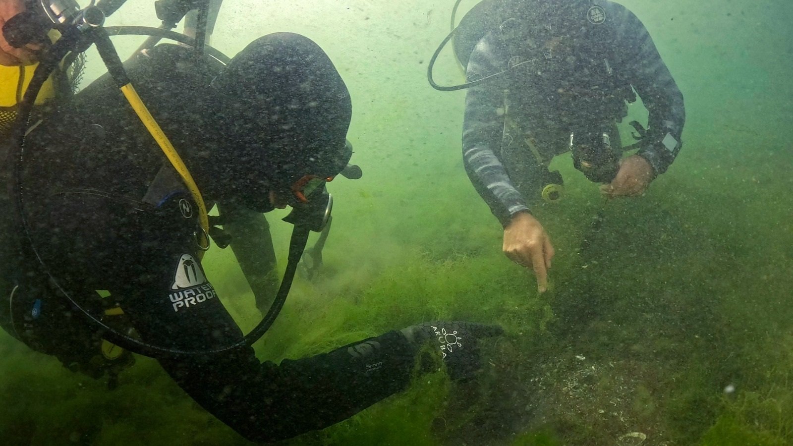 Tahir Büyükakın İzmit Körfezi dalış