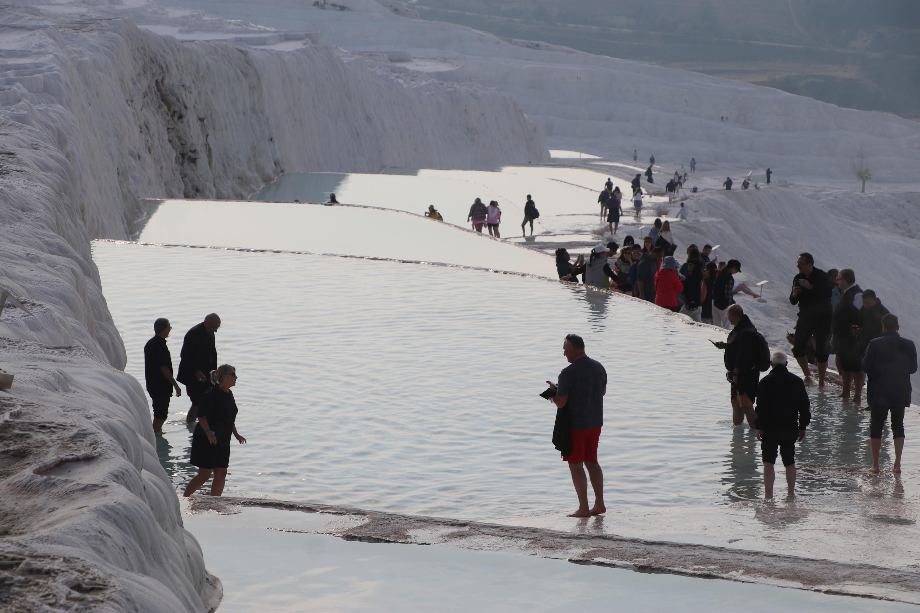 Kardinal Reina Açıklama