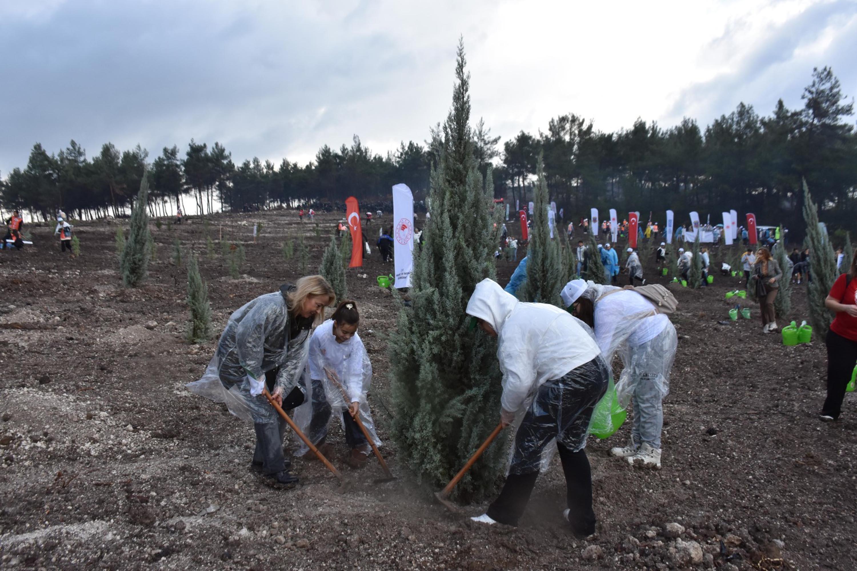 Ceyda Bölünmez Çankırı fidan dikimi