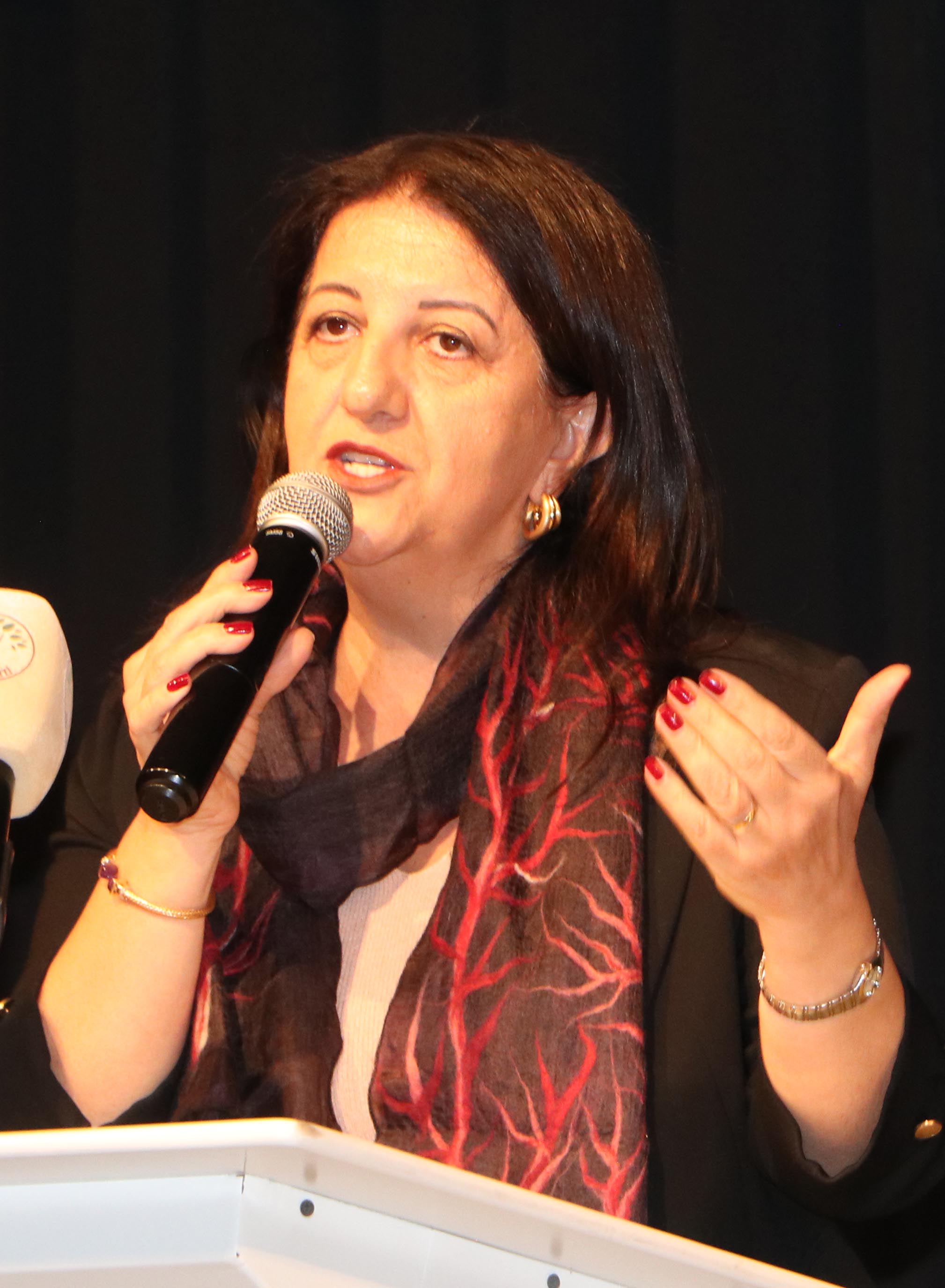 Pervin Buldan DEM Parti