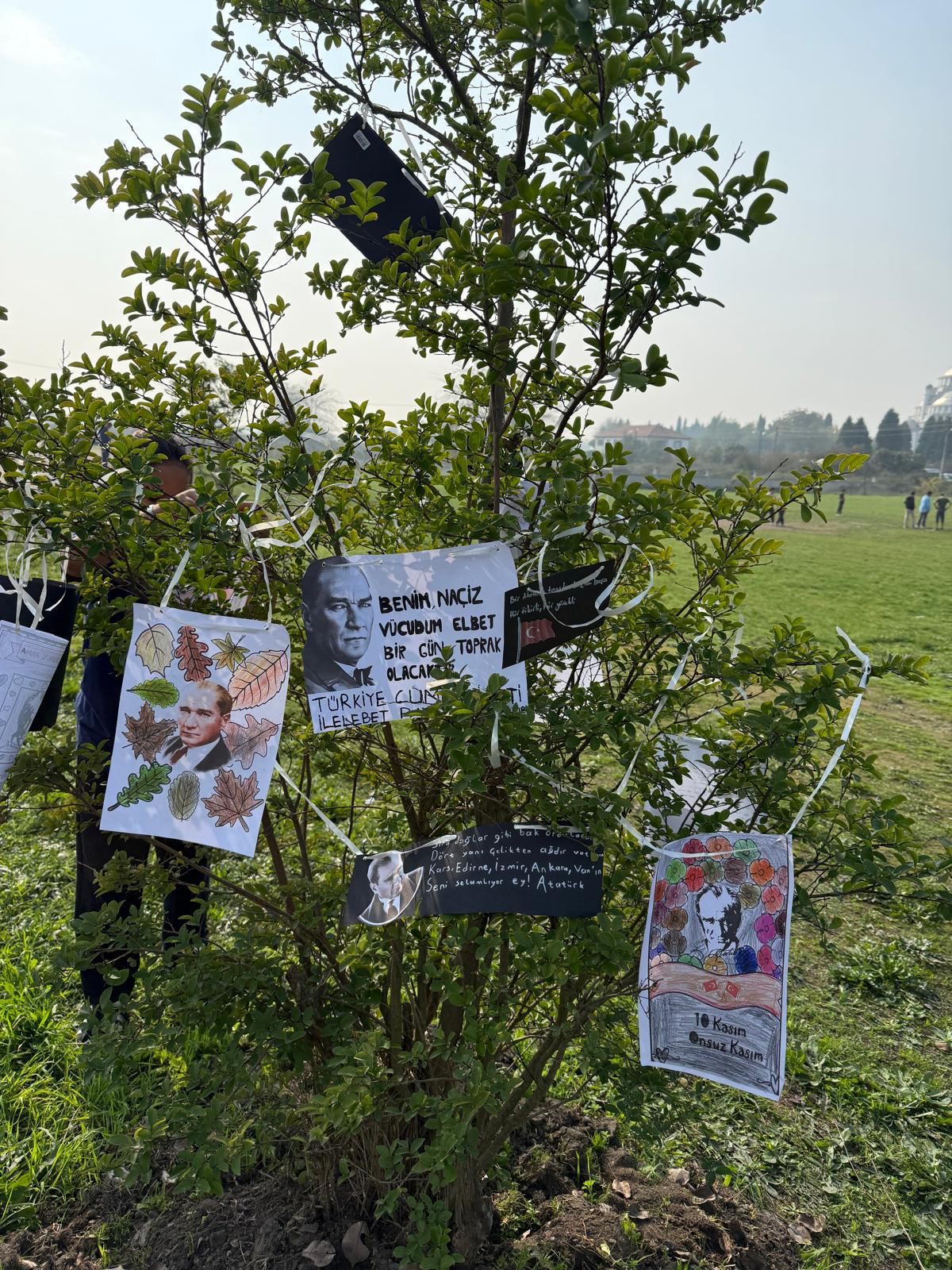 MEB Atatürk Fidan Dikimi