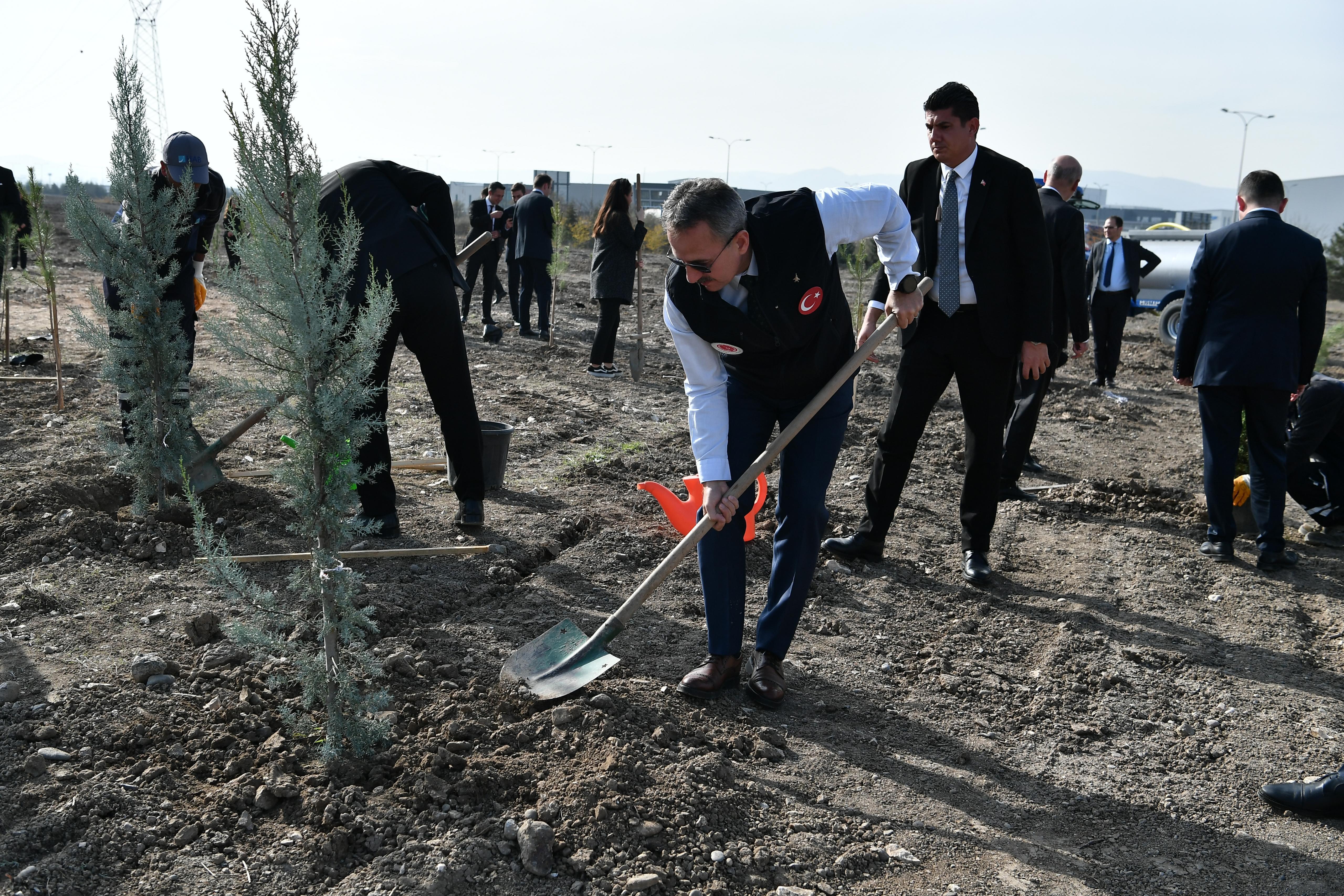 Yeşil Vatan Seferberliği ağaç dikimi