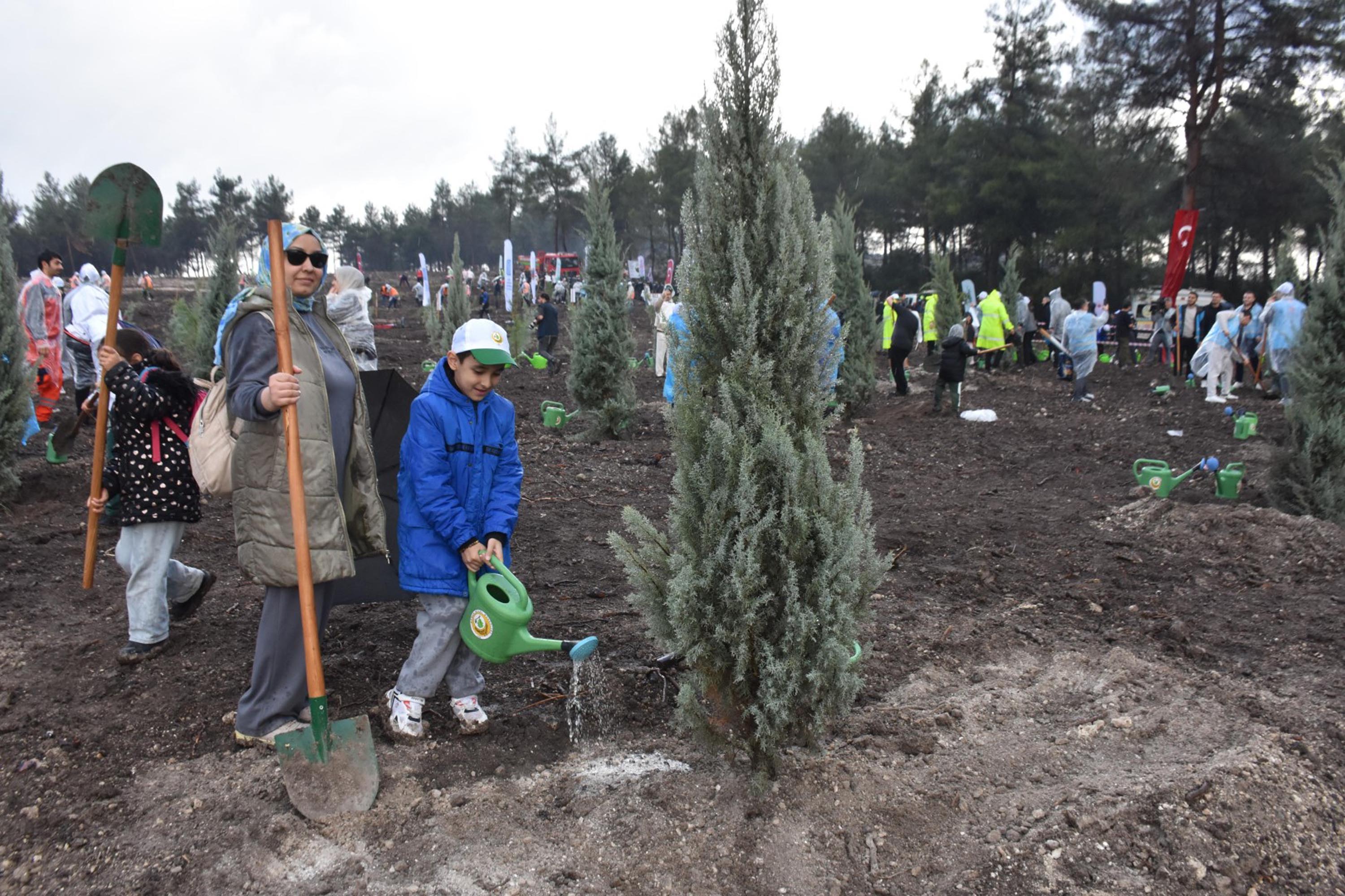 Mahmut Atilla Kaya fidan dikimi