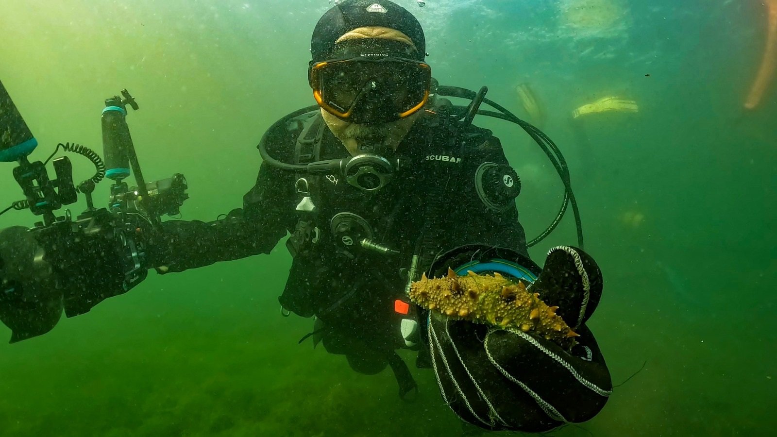 İzmit Körfezi temizlik projesi
