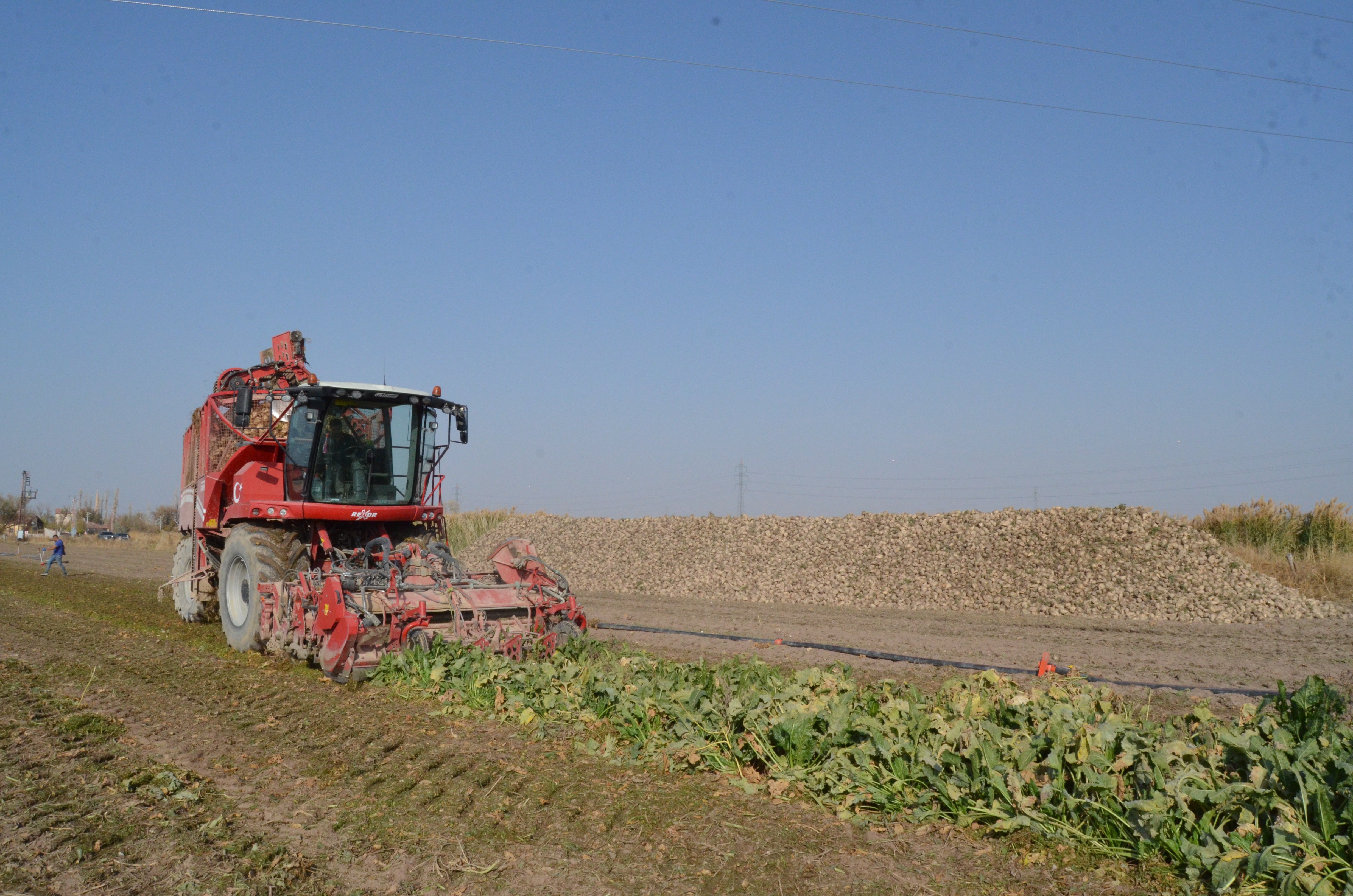 Tarım ve Orman Bakanlığı