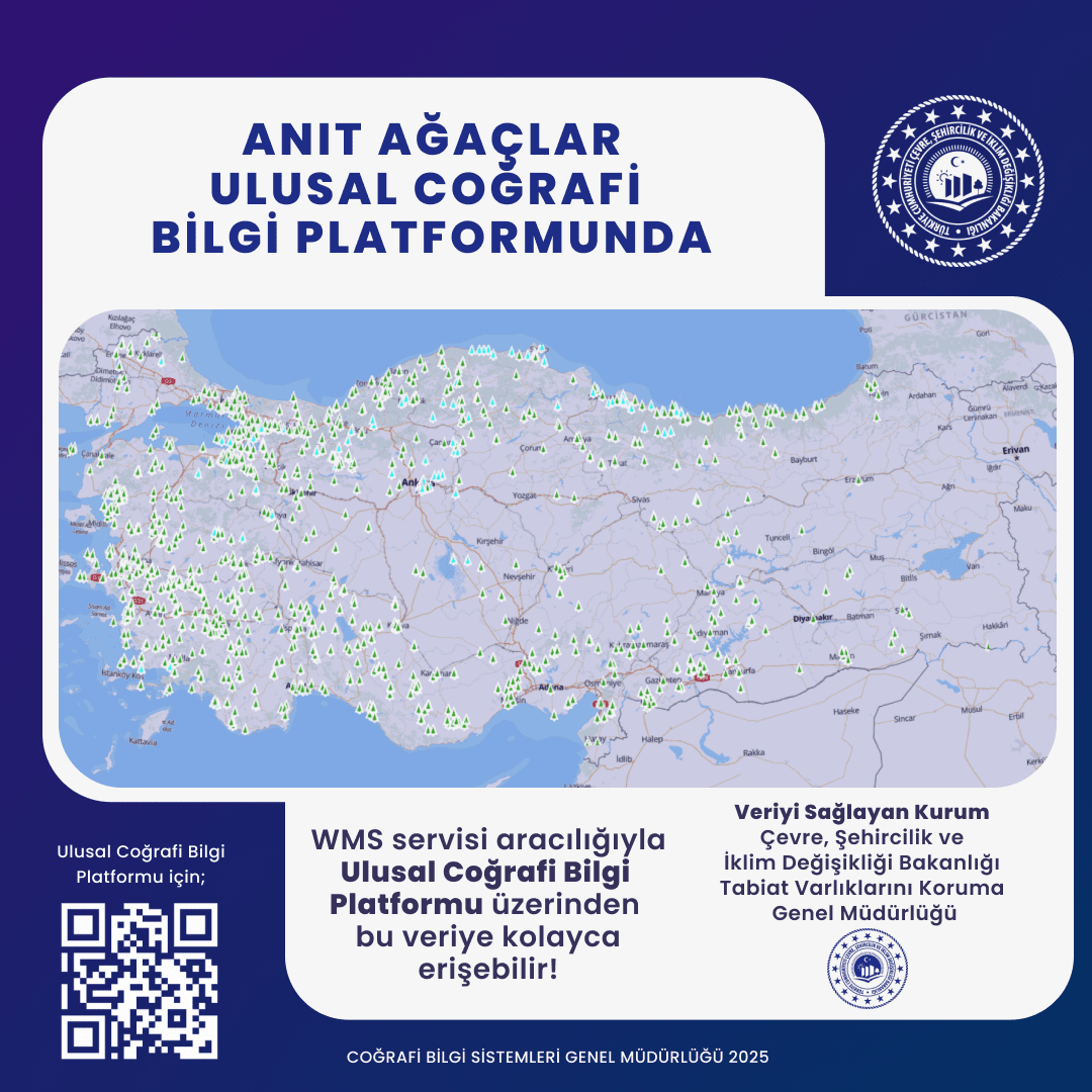 Ulusal Coğrafi Bilgi Platformu