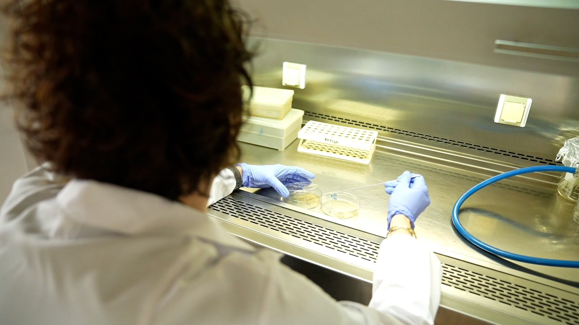 TENMAK Laboratuvarları