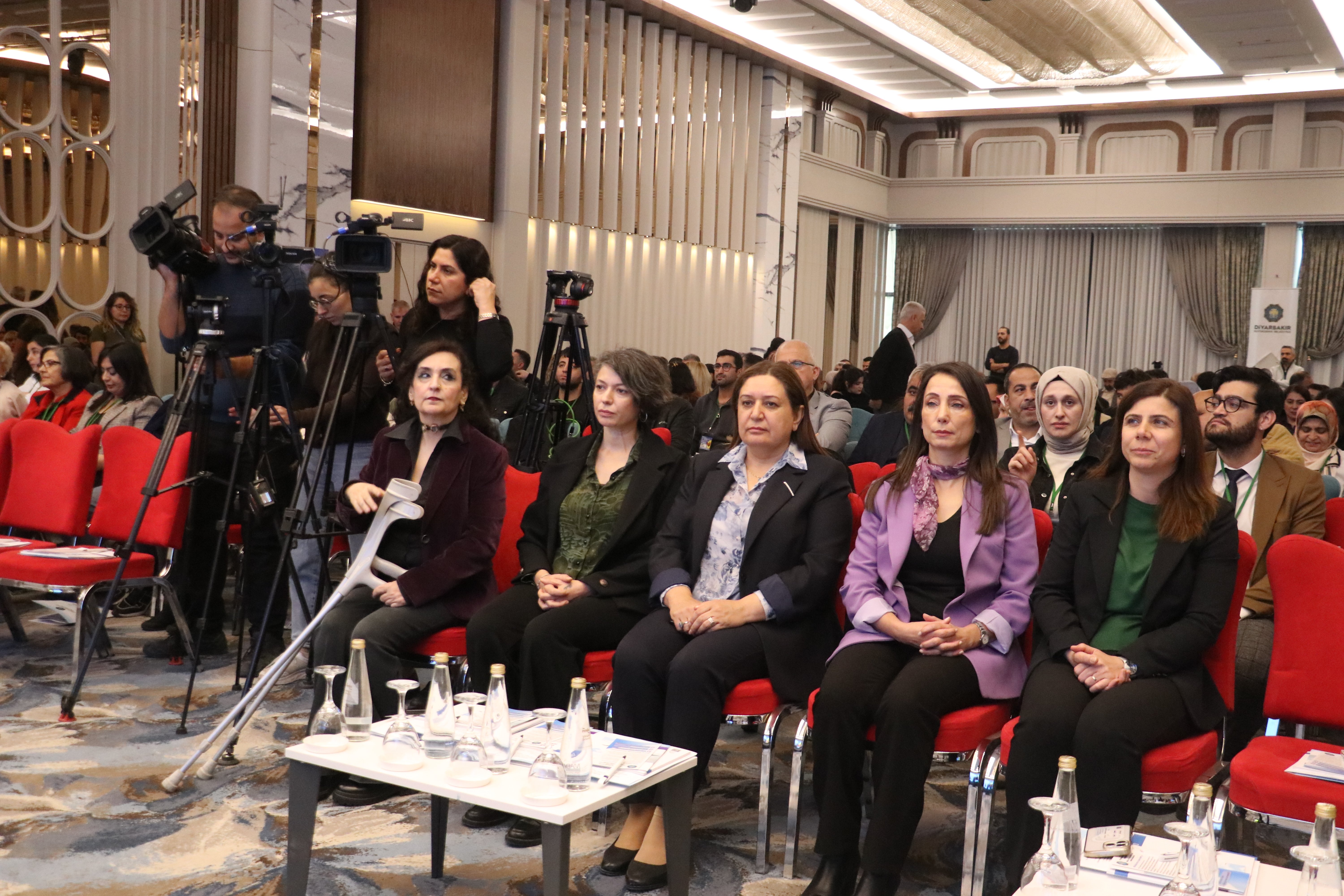 DEM Parti eş genel başkan