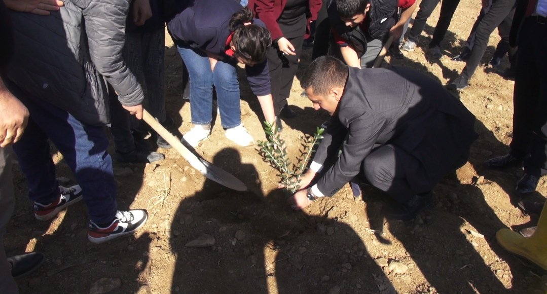 Aybüke Yalçın Zeytin Fidanı Dikimi