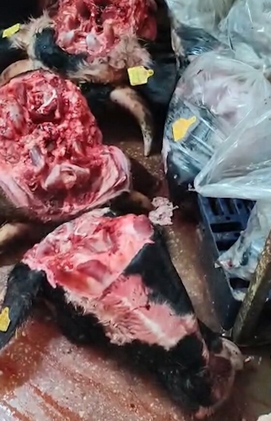 Çanakkale gıda denetimi