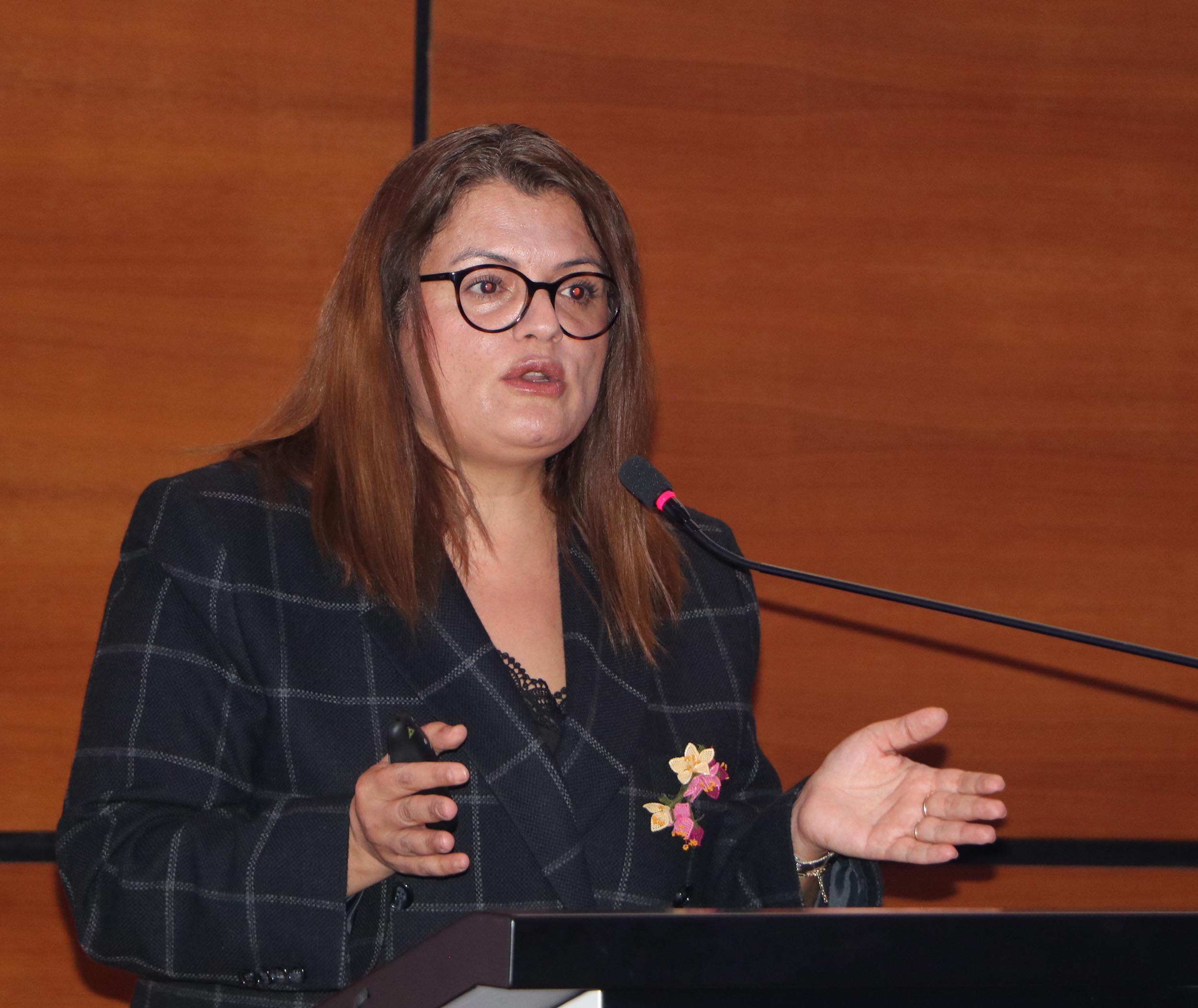 Prof. Dr. Ayşe Gürol