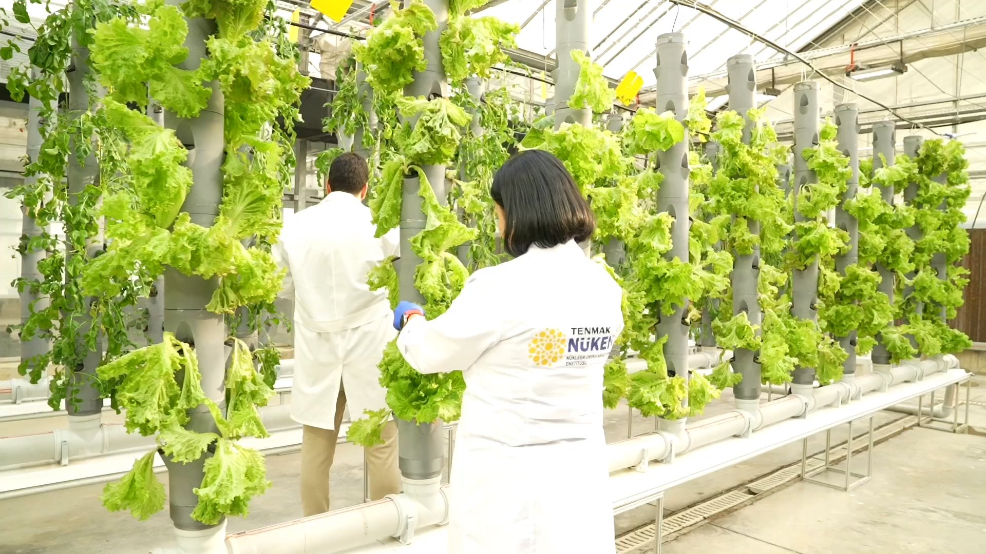 TENMAK Tarım Araştırmaları